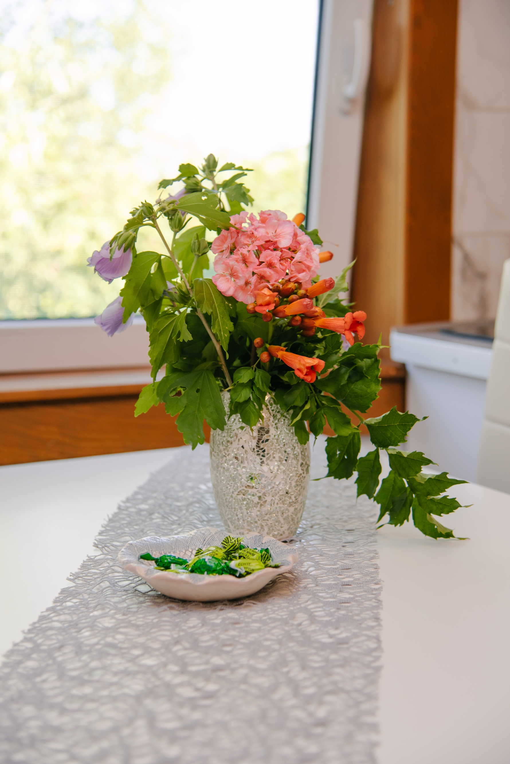 Top Gorski kotar Tounj Top Gorski kotar Tounj