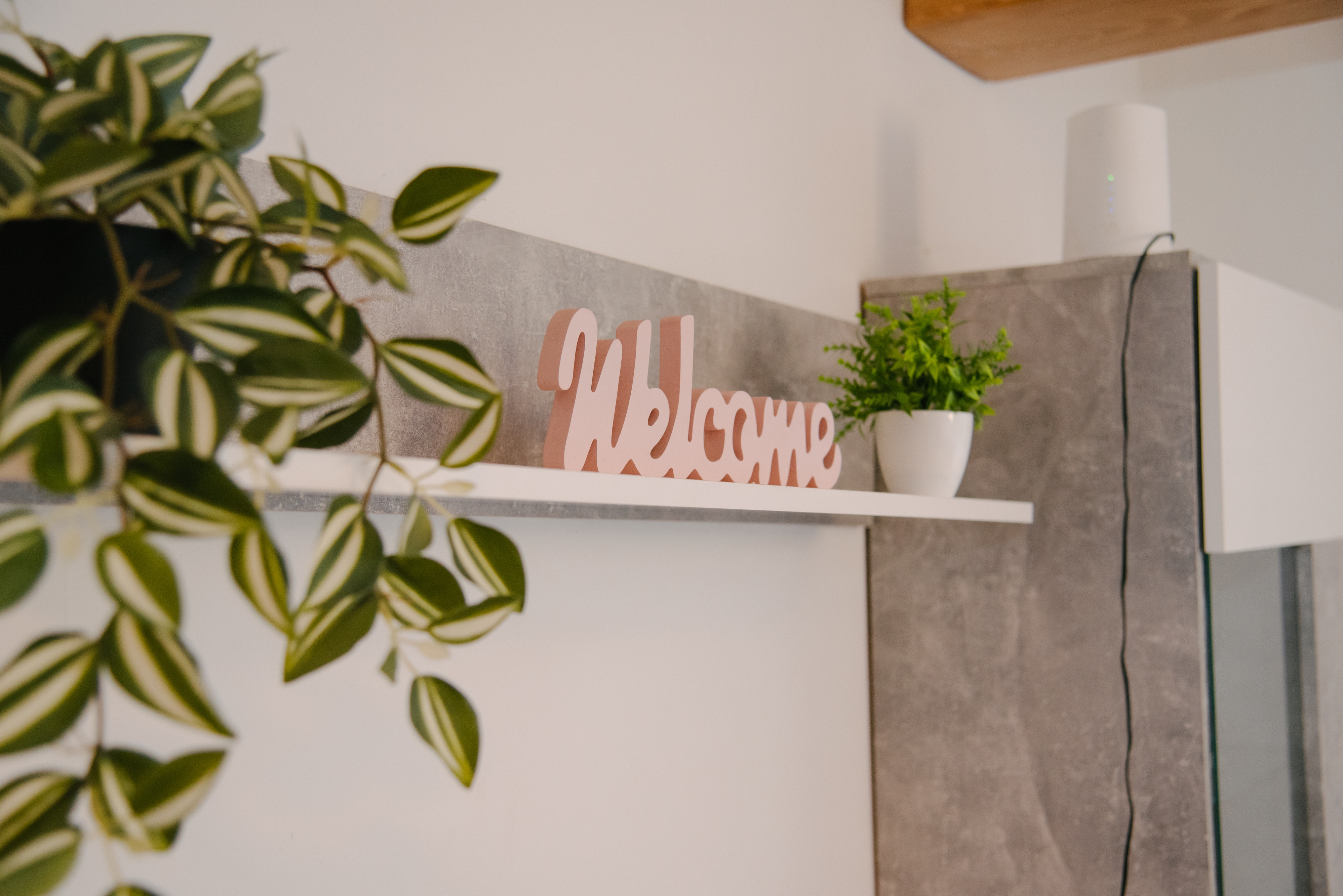 Top Gorski kotar Tounj Top Gorski kotar Tounj