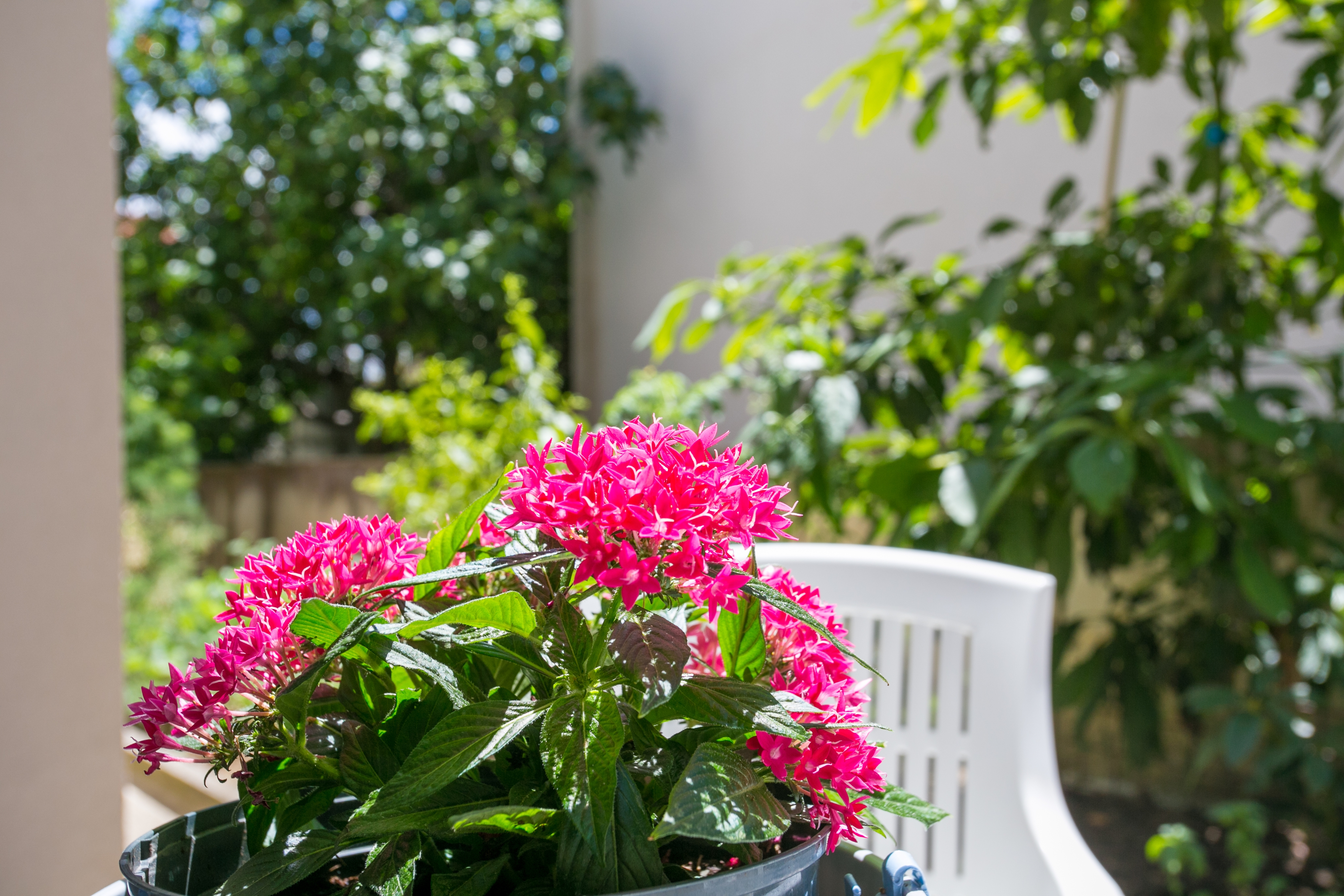 One bedroom apartment with terrace Podstrana, Split  A-b