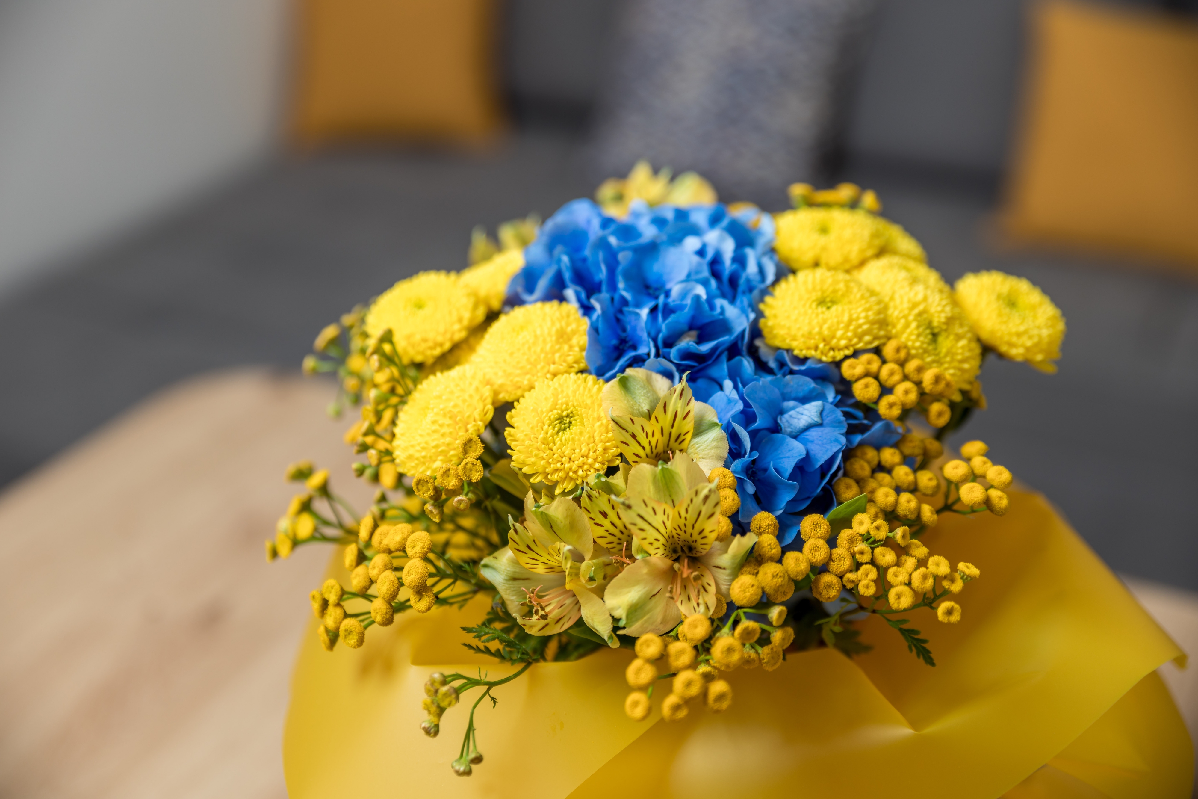 Top Kraljevica Top Kraljevica