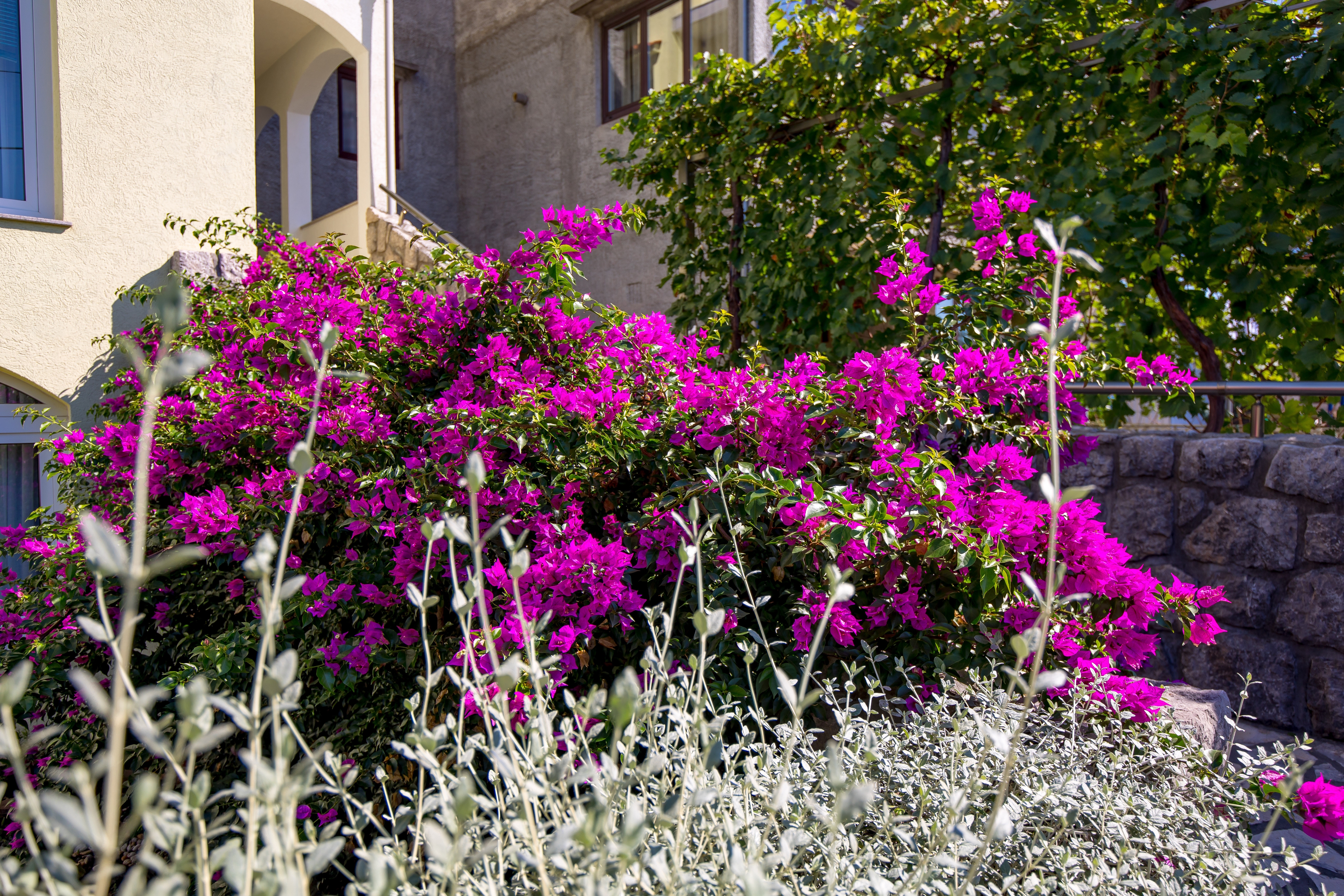 Soba Kraljevica  S-a