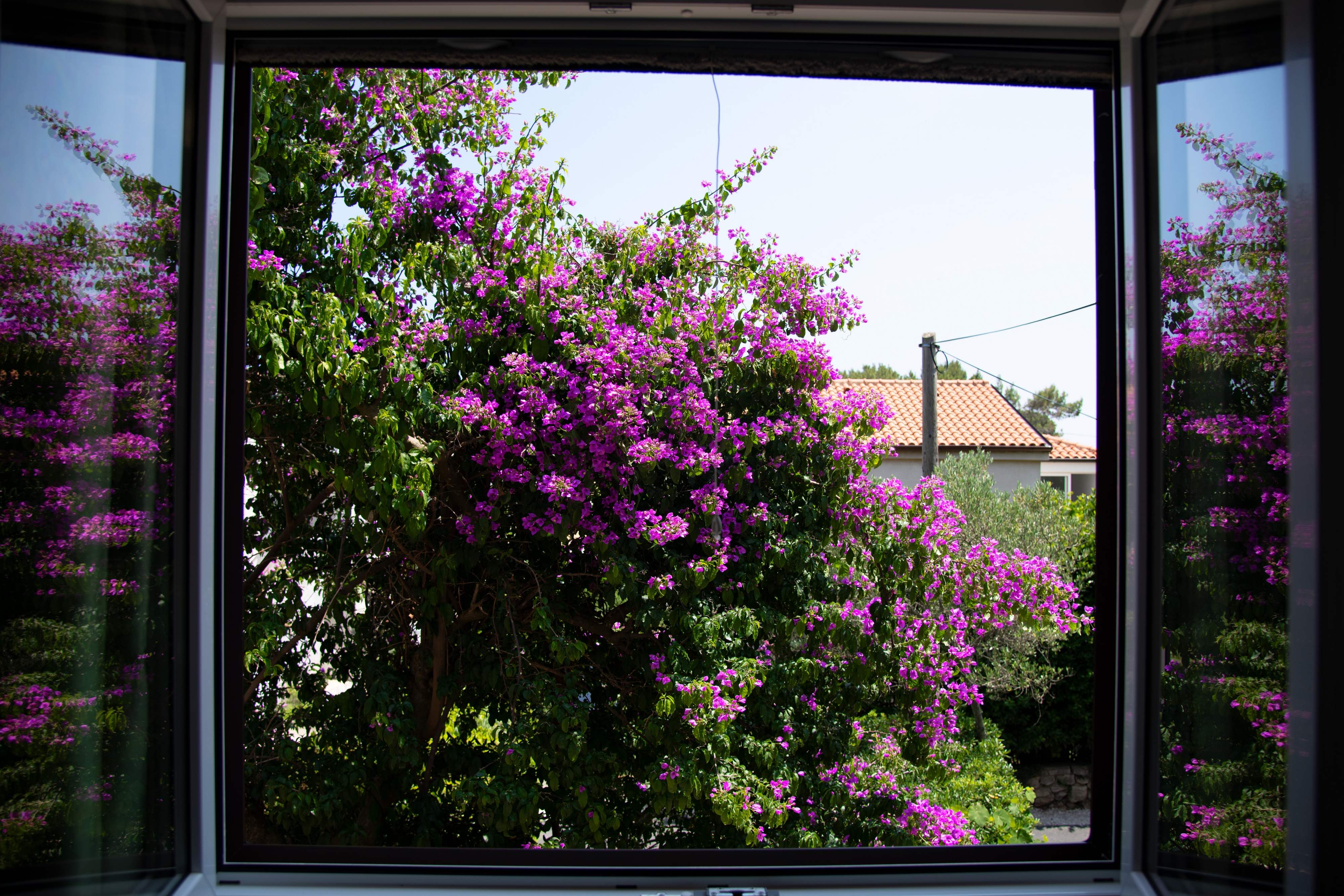 Top Lošinj Artatore Top Lošinj Artatore