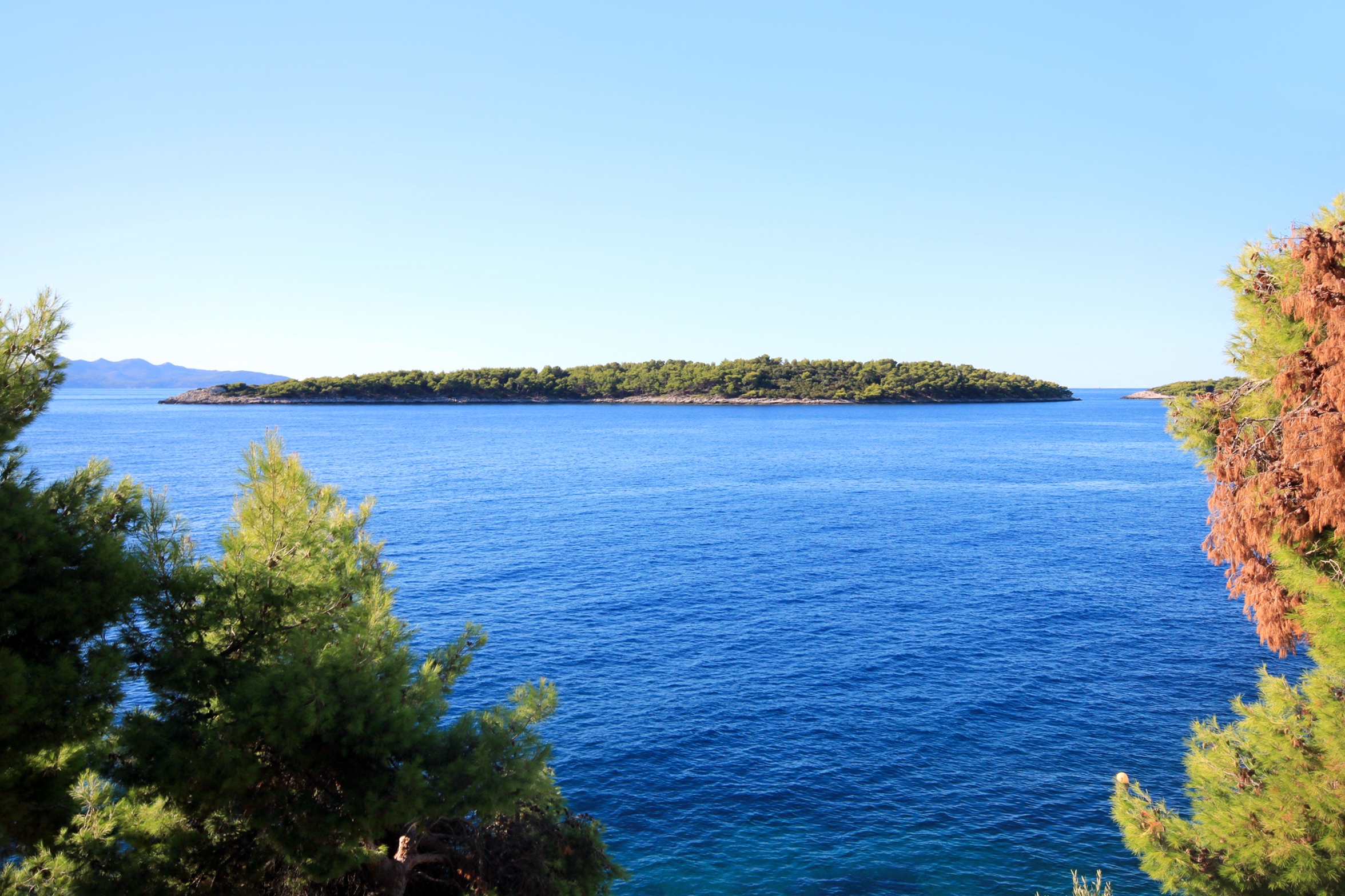 Two bedroom apartment near beach Prižba, Korčula  A-a