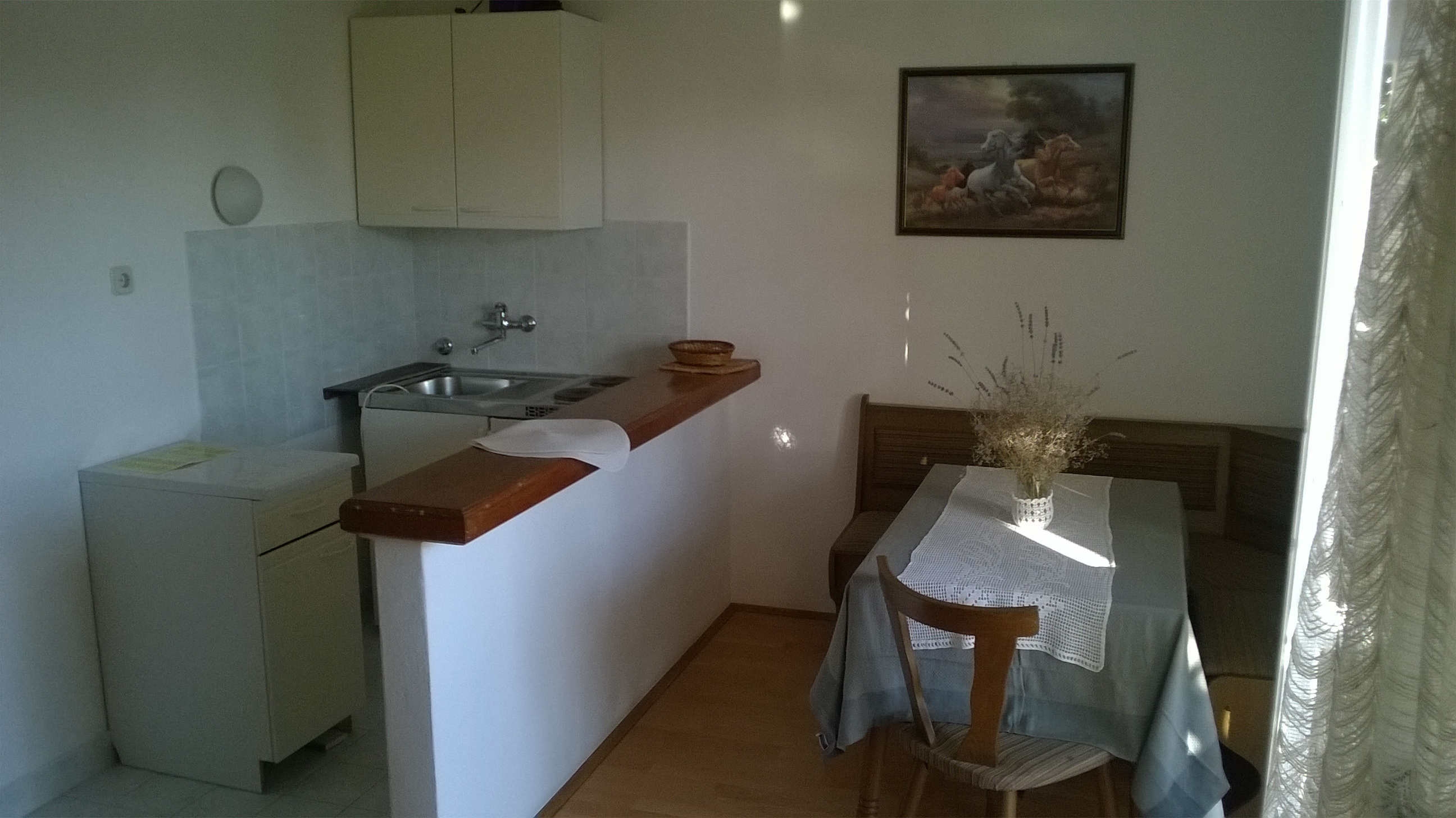 Top Rab Barbat Top Rab Barbat