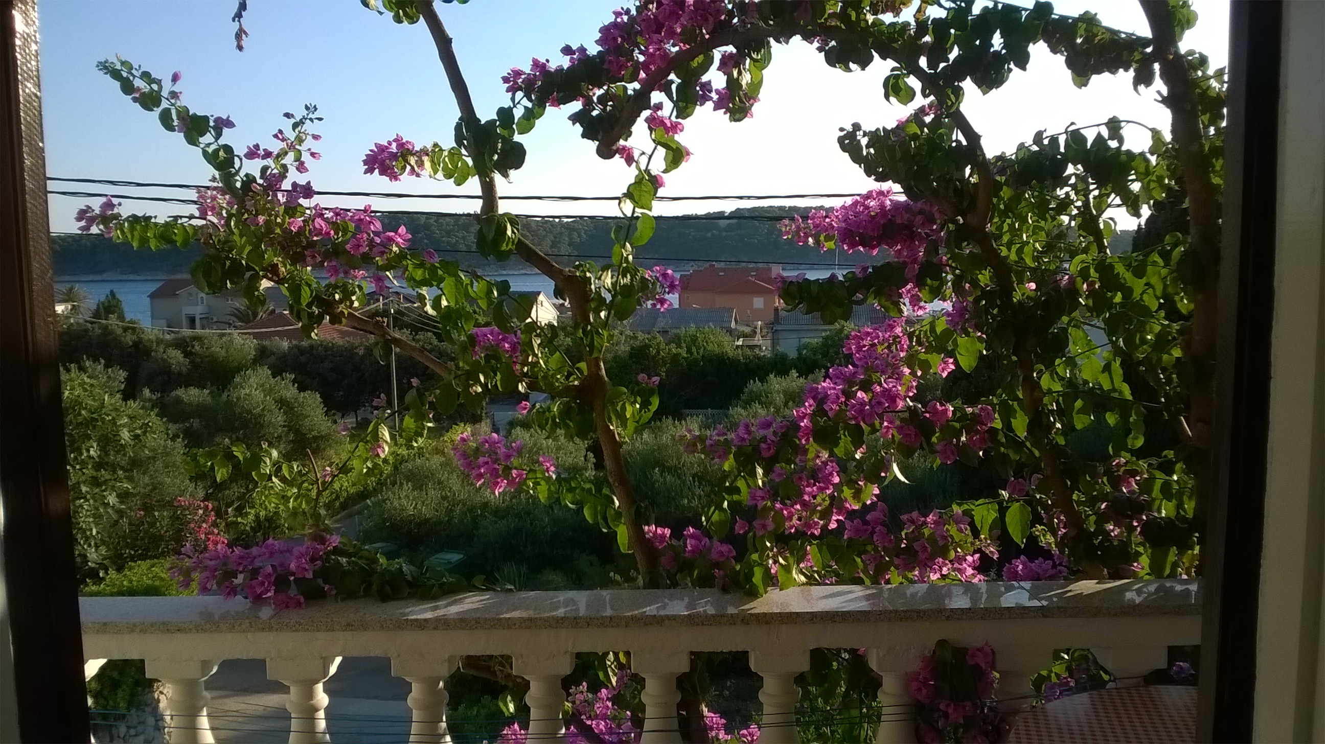 One bedroom apartment with terrace and sea view Barbat, Rab (A-17620-c)