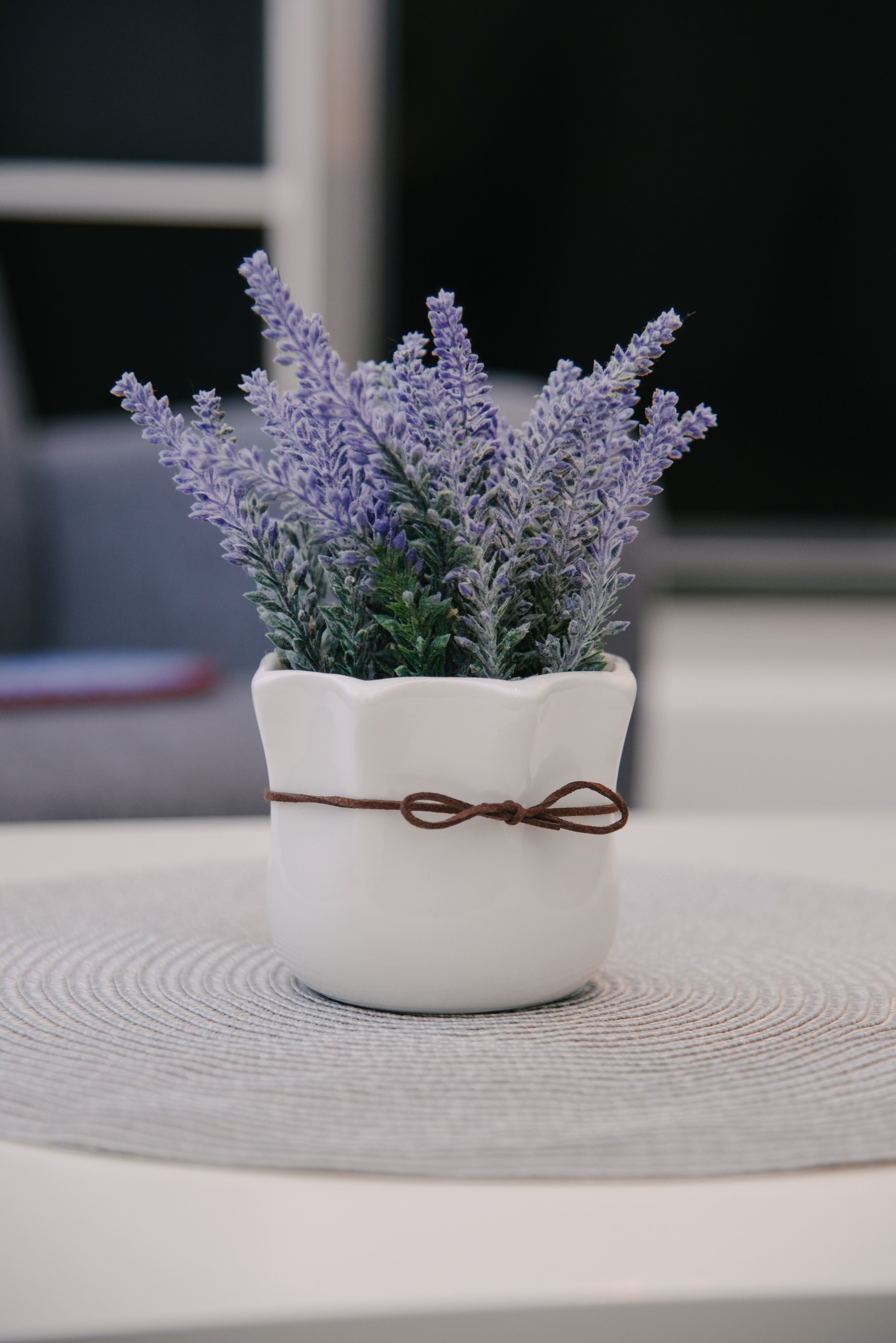 Top Plitvice Lipovača Top Plitvice Lipovača