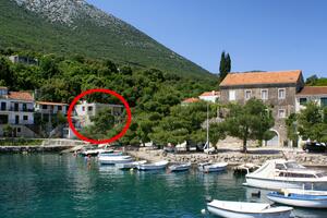 Appartements près de la mer Baie Crkvice, Peljesac - 17667