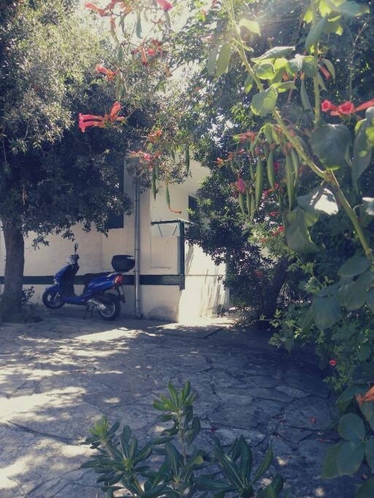 Top Zadar Petrčane Top Zadar Petrčane