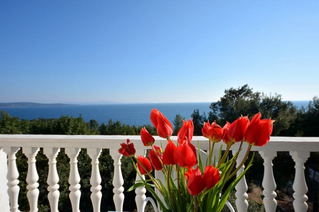 Top Hvar Ivan Dolac Top Hvar Ivan Dolac