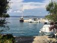 Zaglav, Dugi otok, Courtyard 17788 - Apartments by the sea.