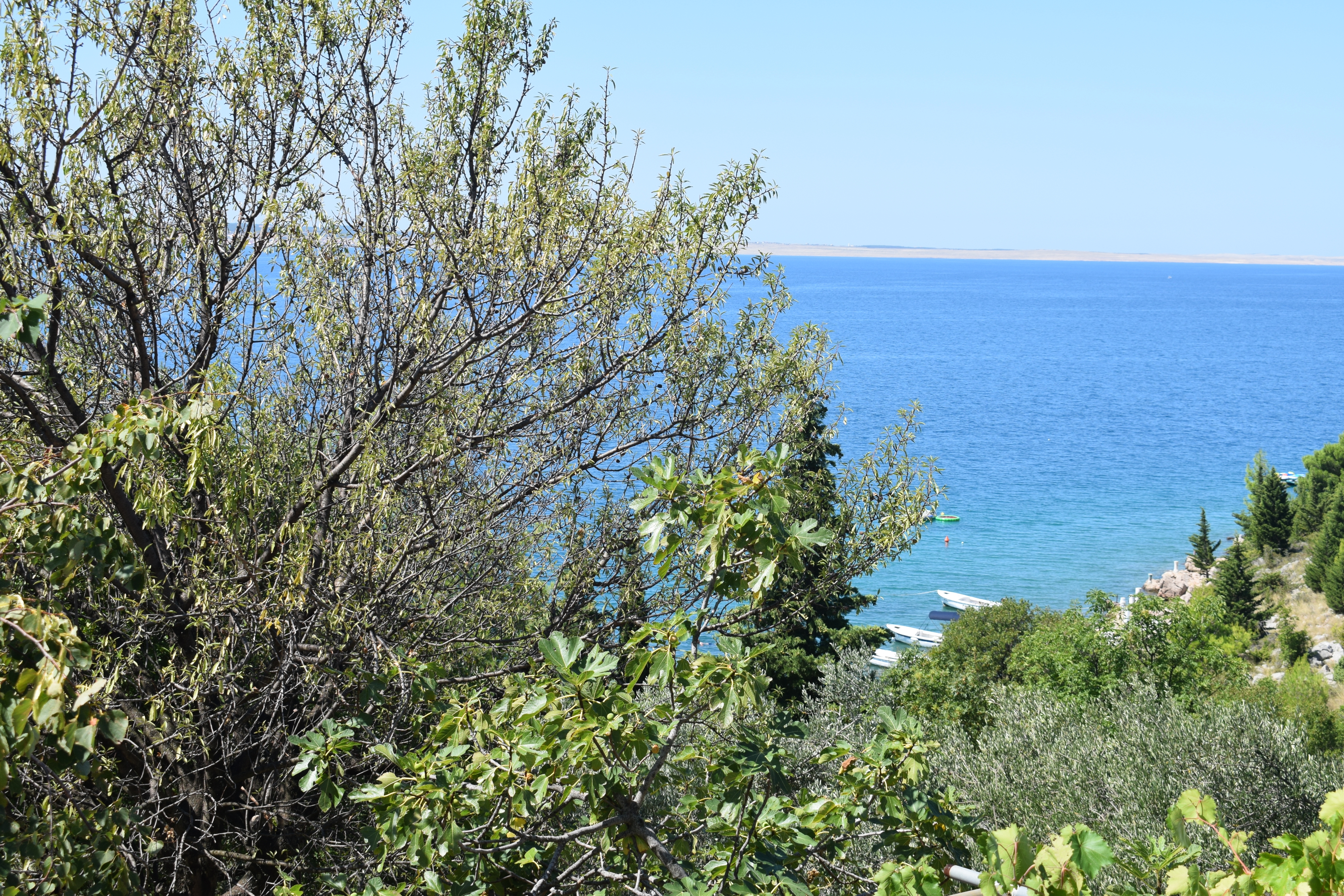 Three bedroom apartment with terrace and sea view Starigrad, Paklenica  A-a