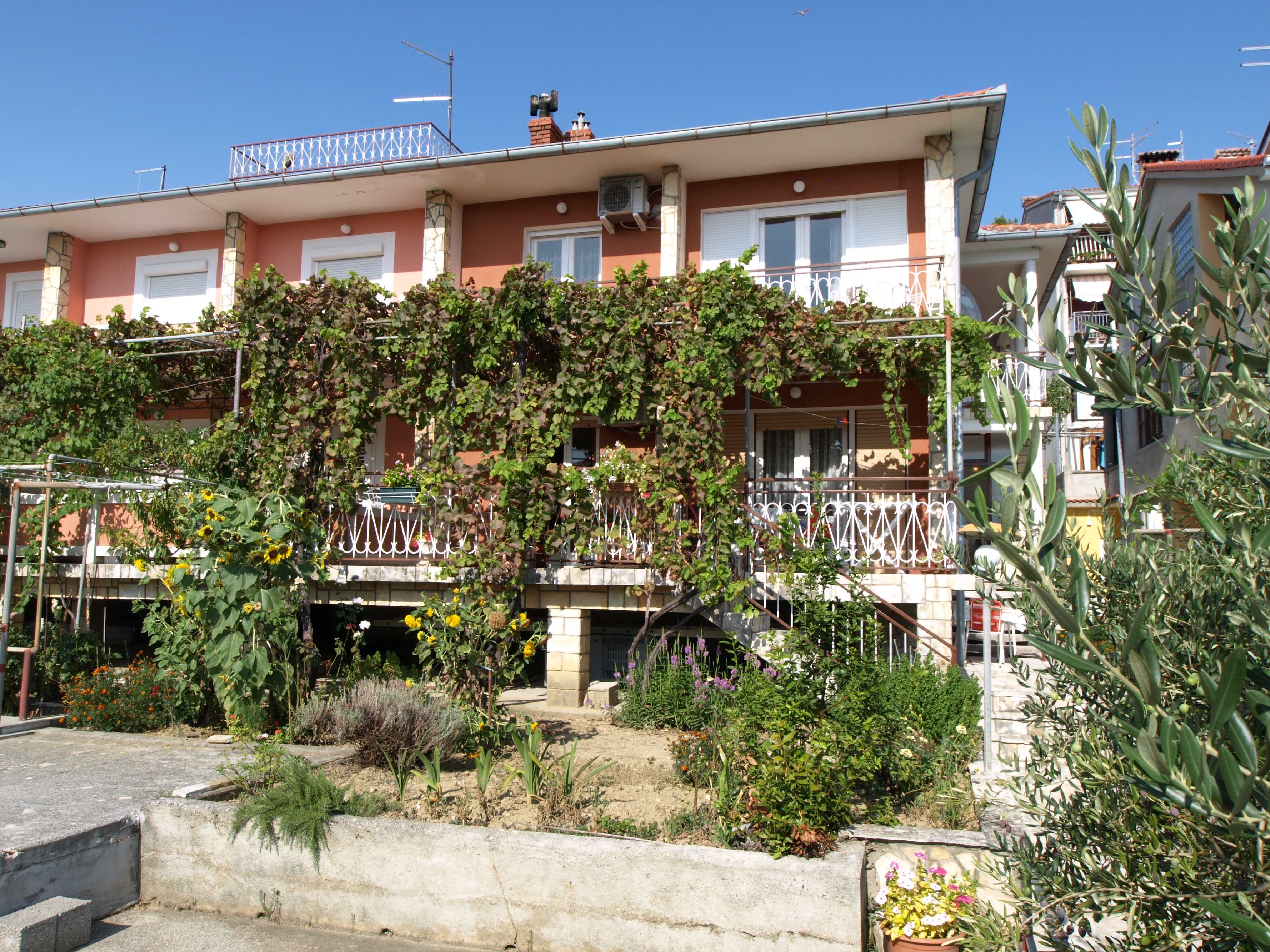 Top Rab Palit Top Rab Palit