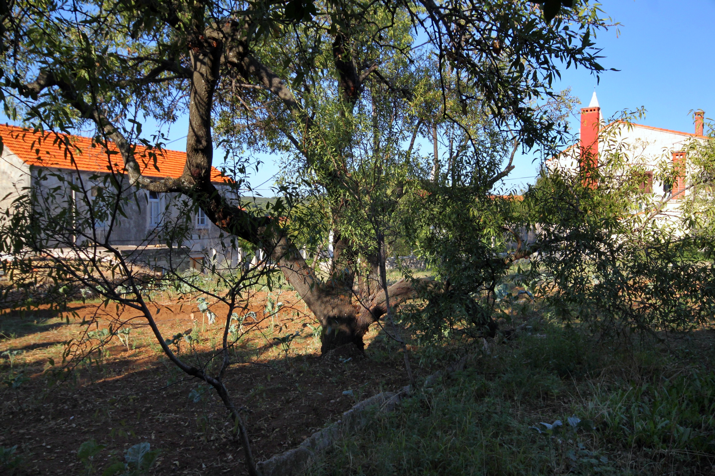 Comfortable and spacious apartment with terrace Lumbarda, Korčula  A-a