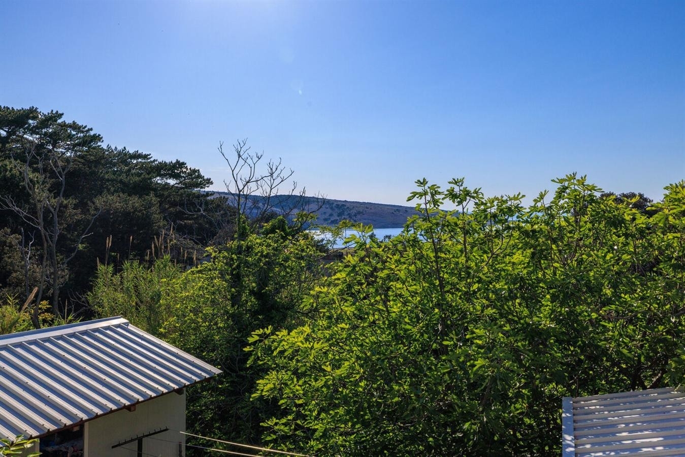 Studio flat with terrace and sea view Lopar, Rab  AS-a