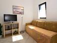Living room Mandre, Living room in the apartment, air condition available and WiFi.