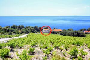 Družinski apartmaji ob morju Dingač - Borak, Pelješac - 18060