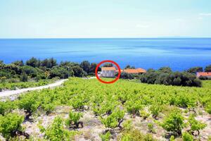 Családi apartmanok a tenger mellett Dingac - Borak, Peljesac - 18060