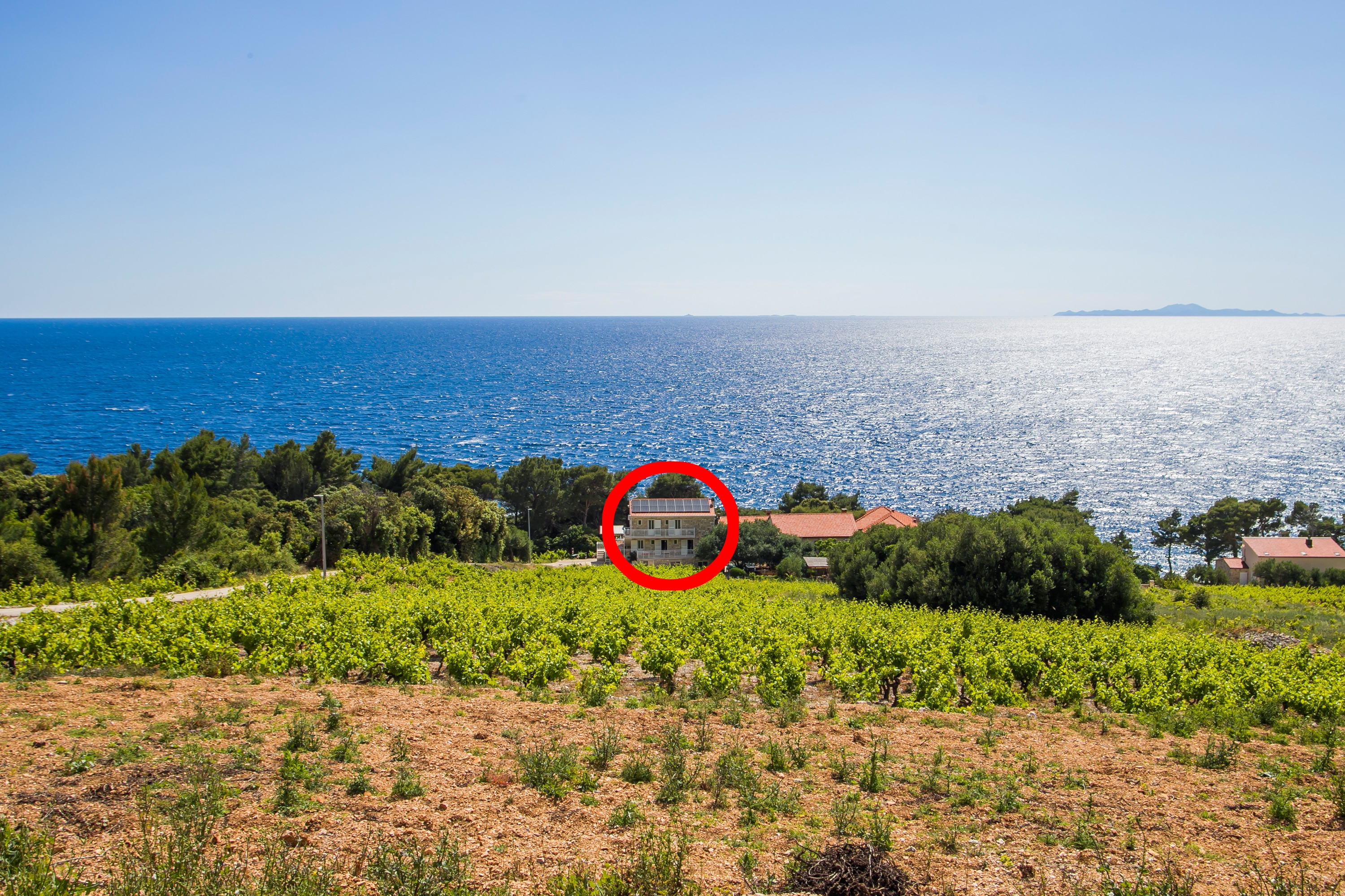 Top Pelješac Dingač - Borak Top Pelješac Dingač - Borak