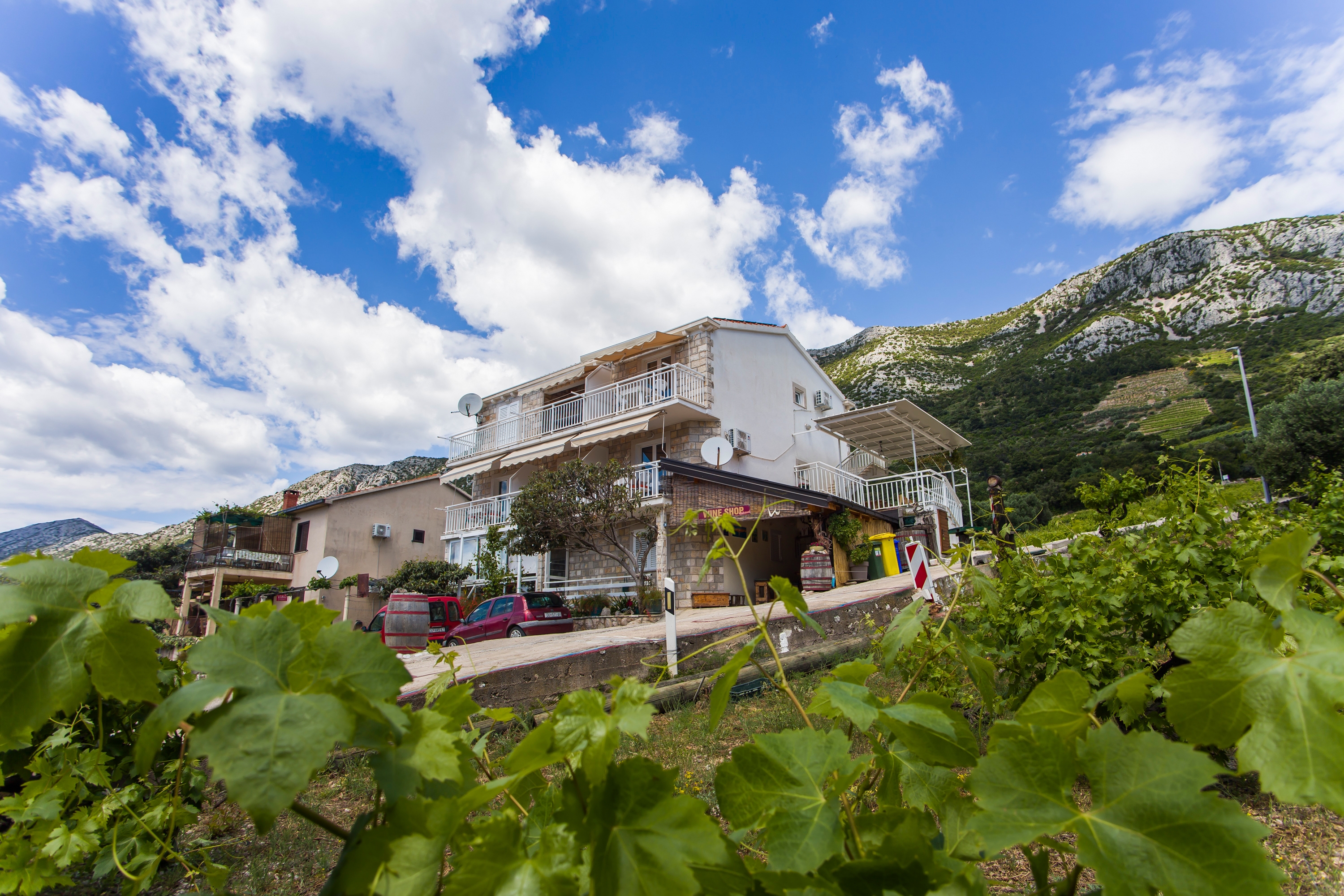 Top Pelješac Dingač - Borak Top Pelješac Dingač - Borak