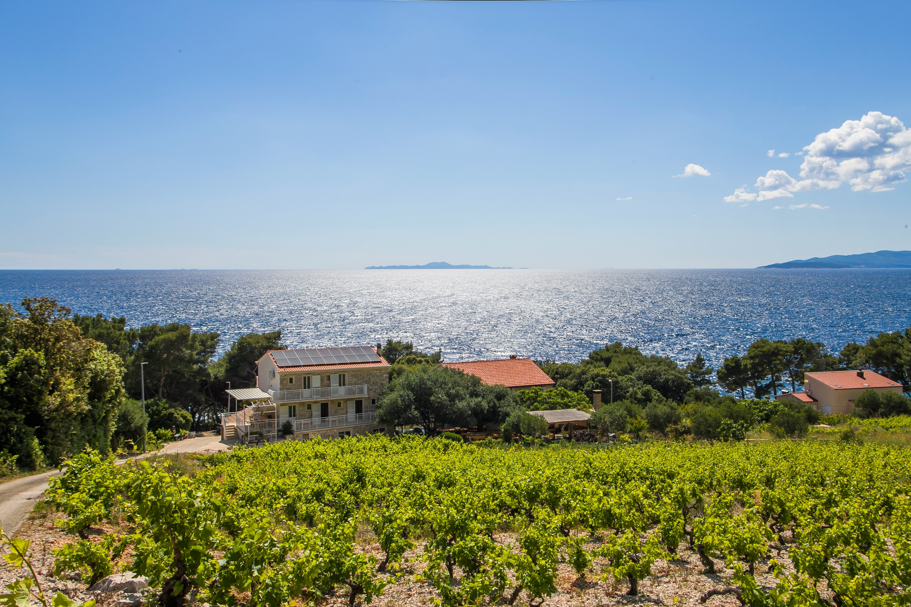 One bedroom apartment near beach Dingač - Borak, Pelješac (A-18060-c)