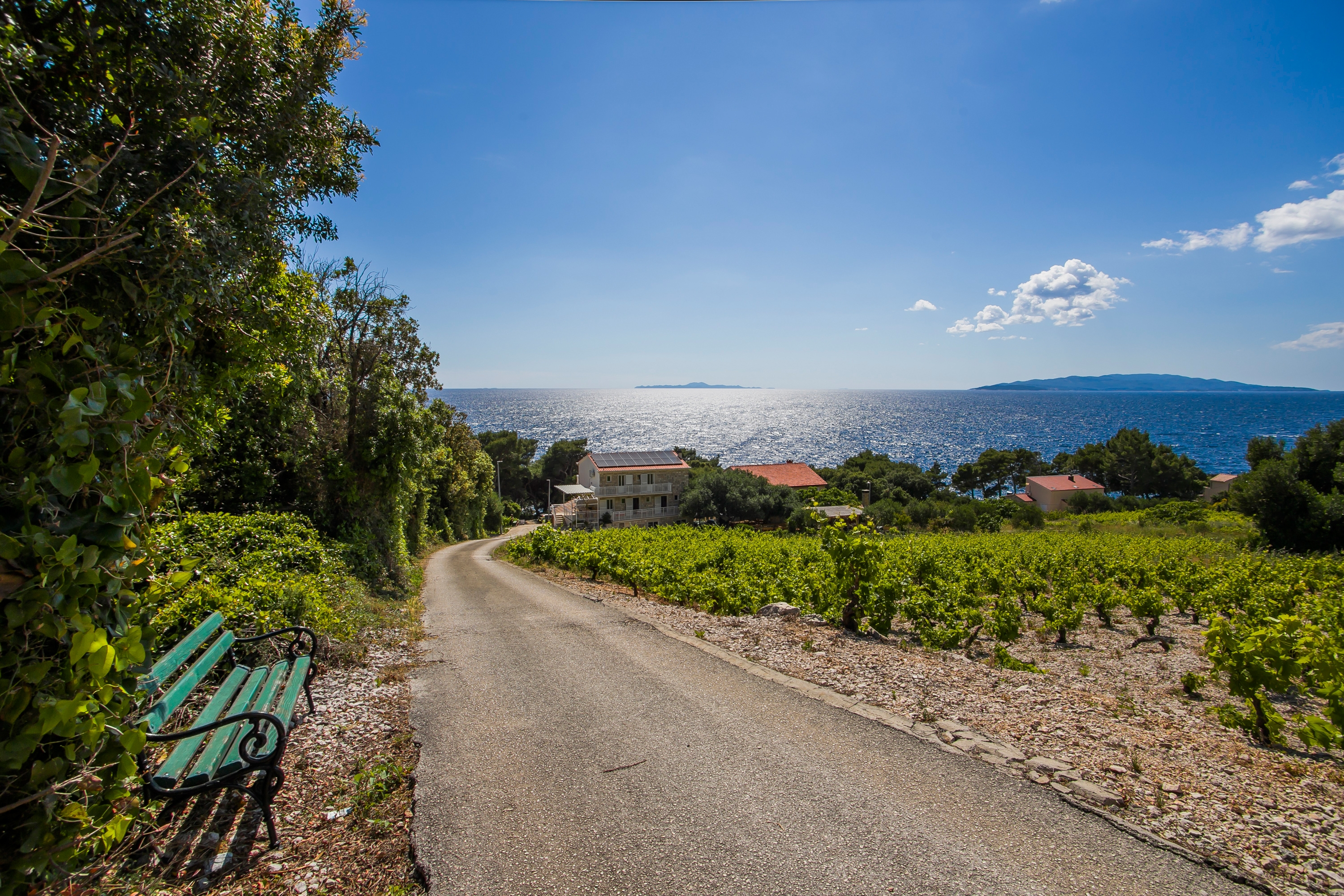 One bedroom apartment near beach Dingač - Borak, Pelješac (A-18060-e)