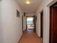 Dingač - Borak, Коридор в размещении типа apartment, WiFi.