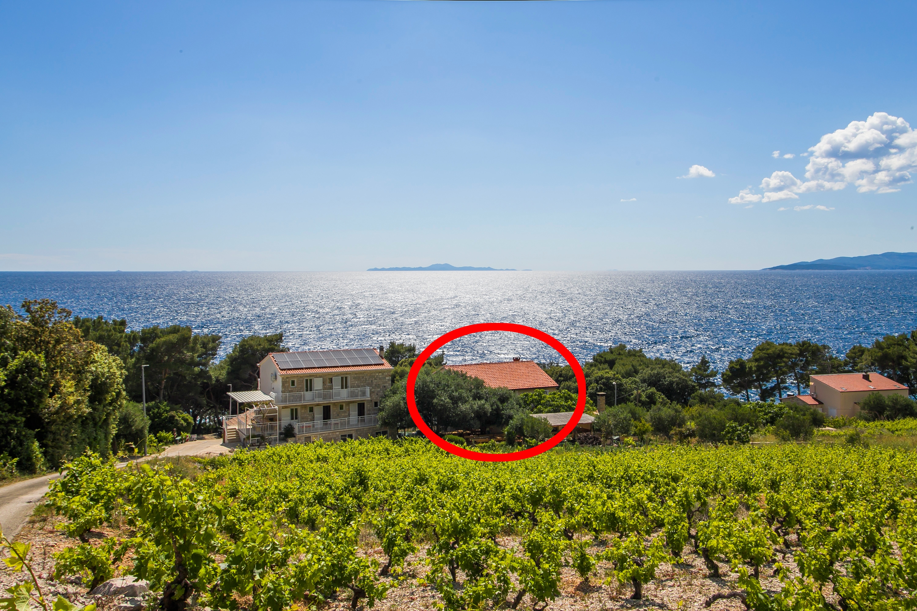 Four-bedroom apartment near beach Dingač - Borak, Pelješac (A-18065-a)