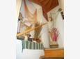 Susak, Коридор в размещении типа apartment, Домашние животные допускаются и WiFi.