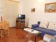 Living room Metajna, Living room in the apartment, air condition available, (pet friendly) and WiFi.