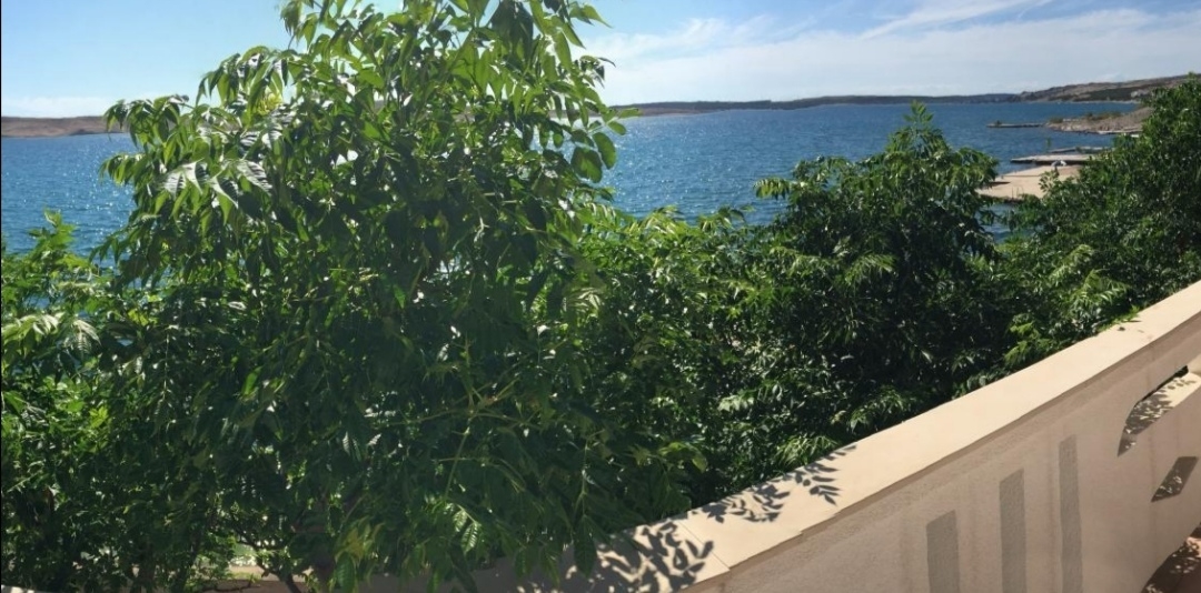 Top Pag Kustići Top Pag Kustići