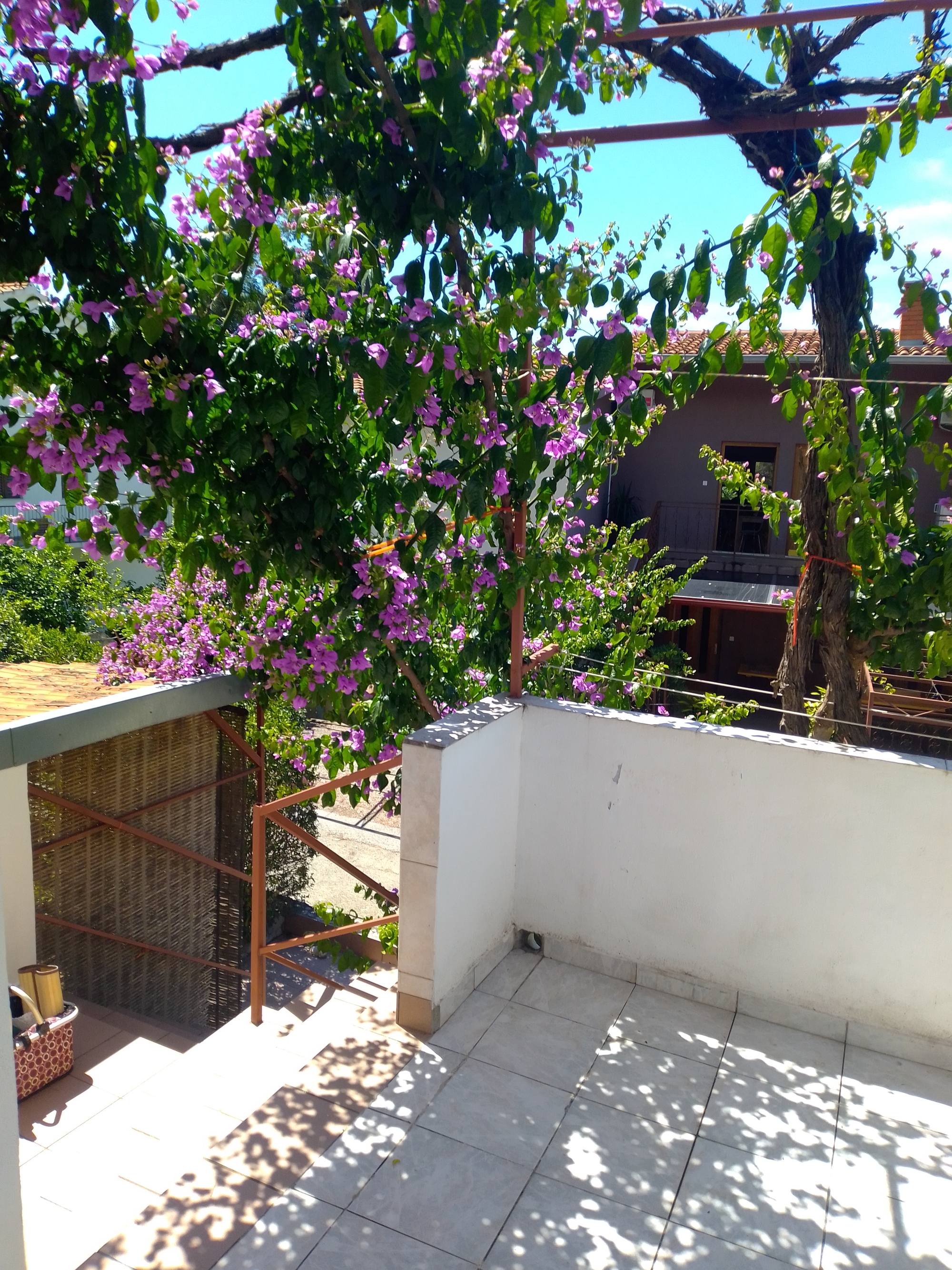 Top Hvar Ivan Dolac Top Hvar Ivan Dolac