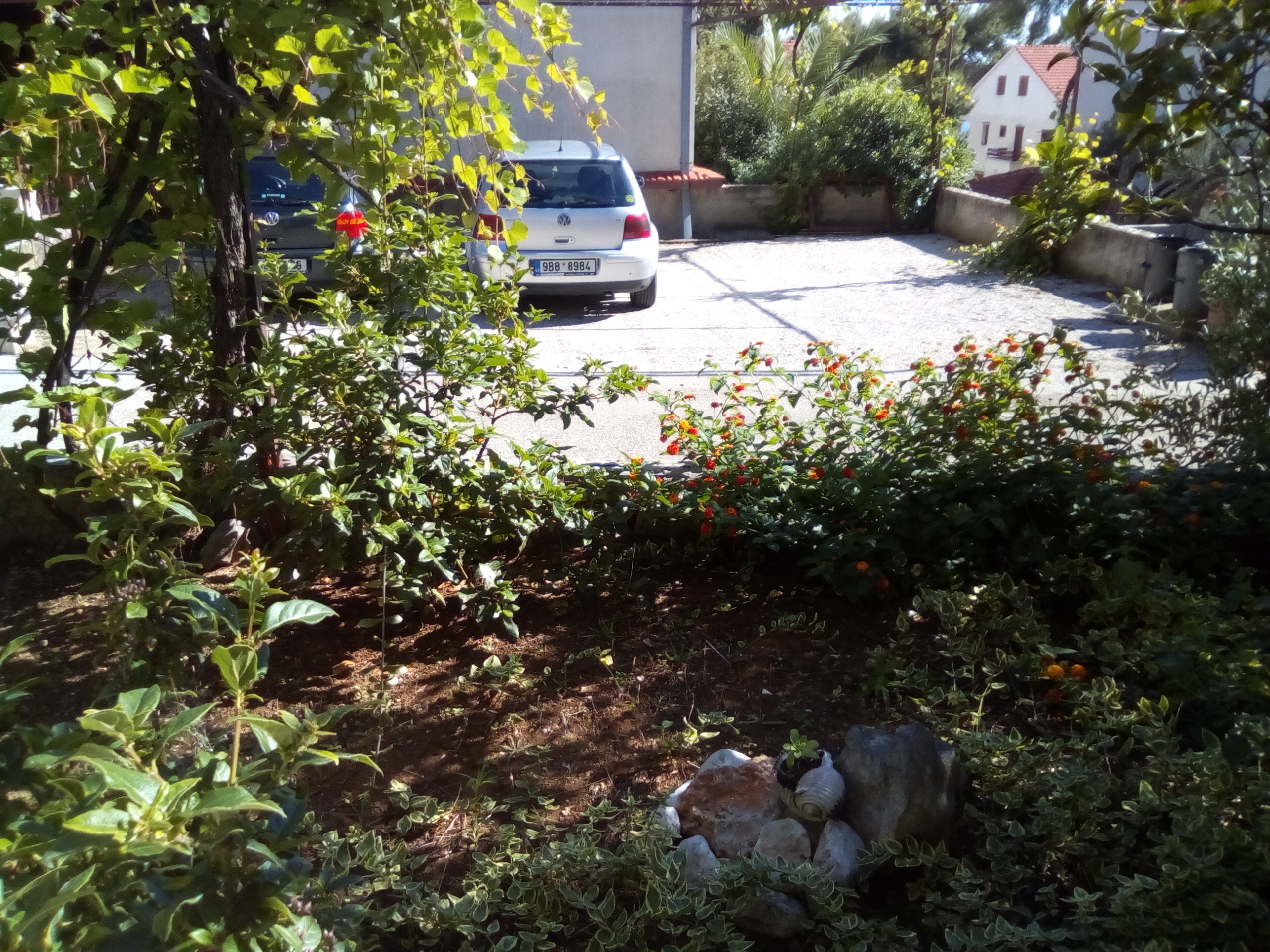 One bedroom apartment with terrace Ivan Dolac, Hvar (A-18269-c)