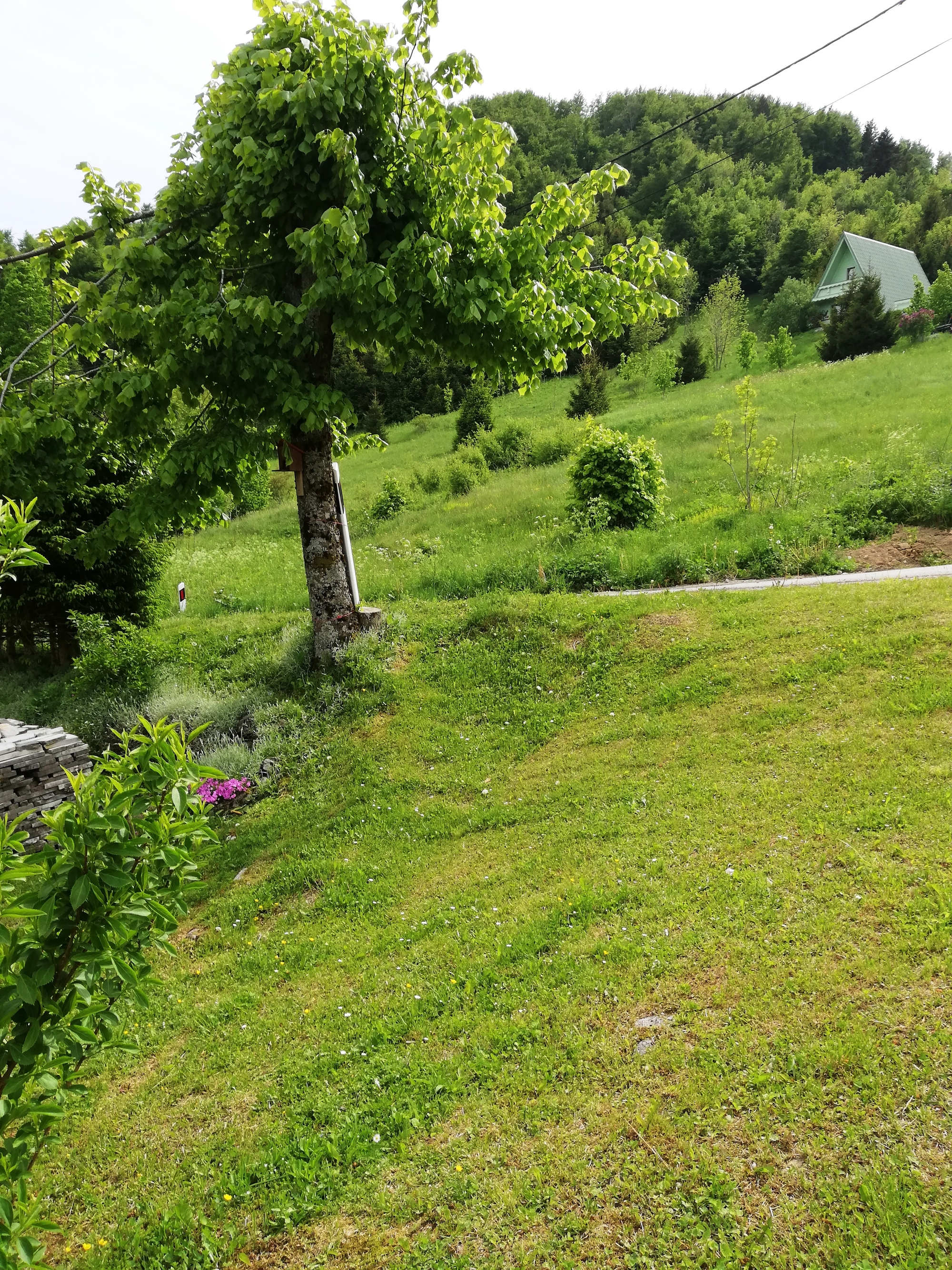 Top Gorski kotar Brestova Draga Top Gorski kotar Brestova Draga