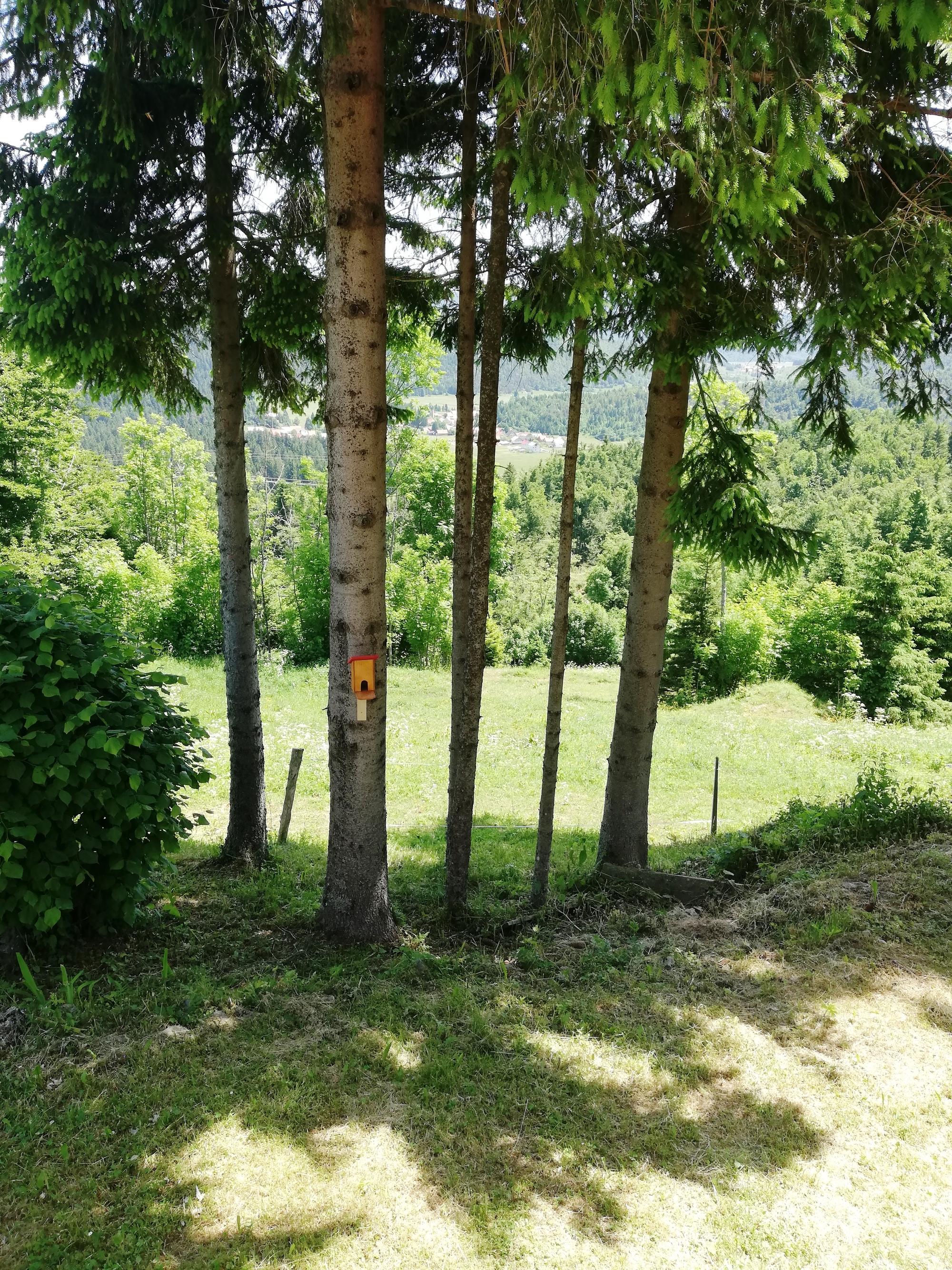 Top Gorski kotar Brestova Draga Top Gorski kotar Brestova Draga