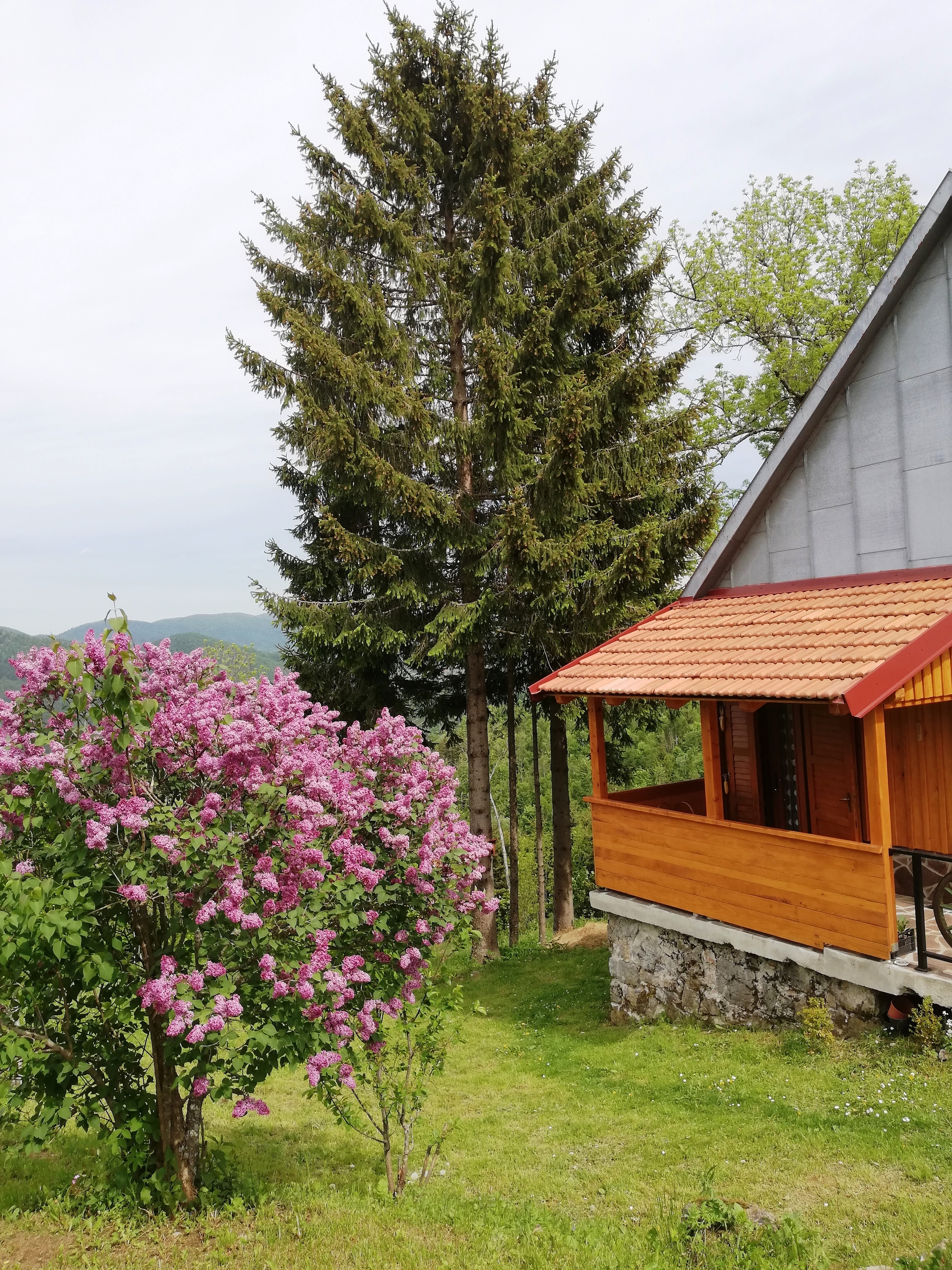 Top Gorski kotar Brestova Draga Top Gorski kotar Brestova Draga