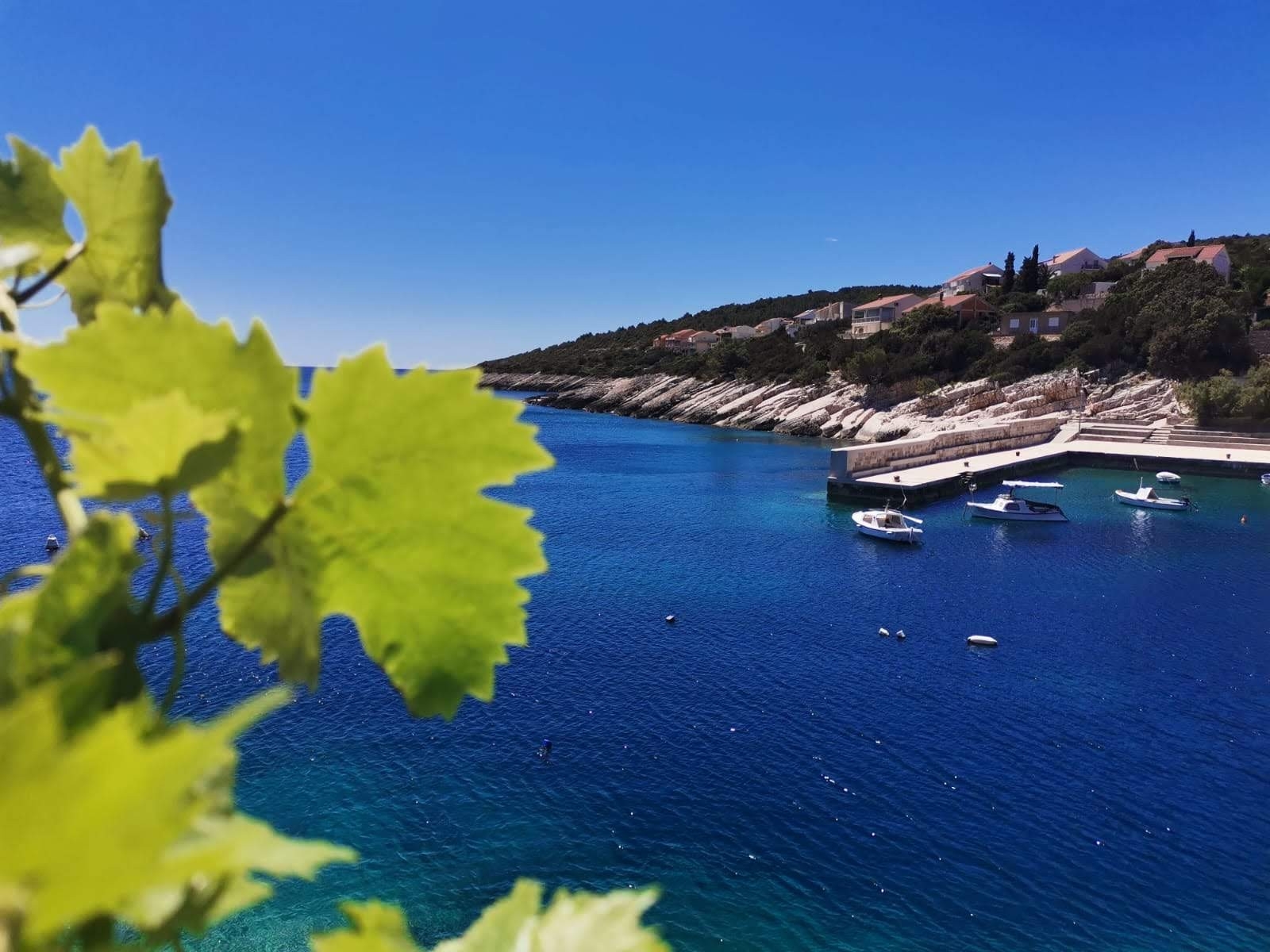 Two bedroom apartment near beach Zavalatica, Korčula  A-a