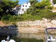 Апартаменты Basina (Hvar) - 18437