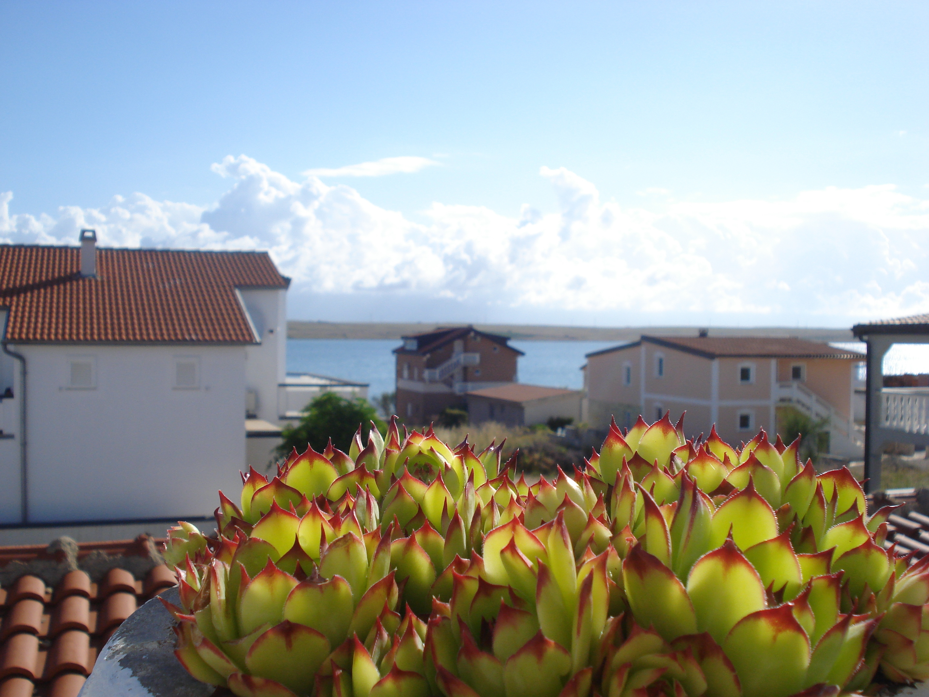 Two bedroom apartment with terrace and sea view Vir  A-a