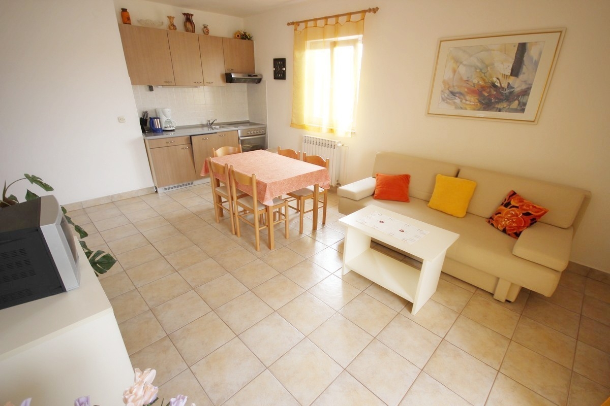 One bedroom apartment with balcony Vir (A-18514-a)