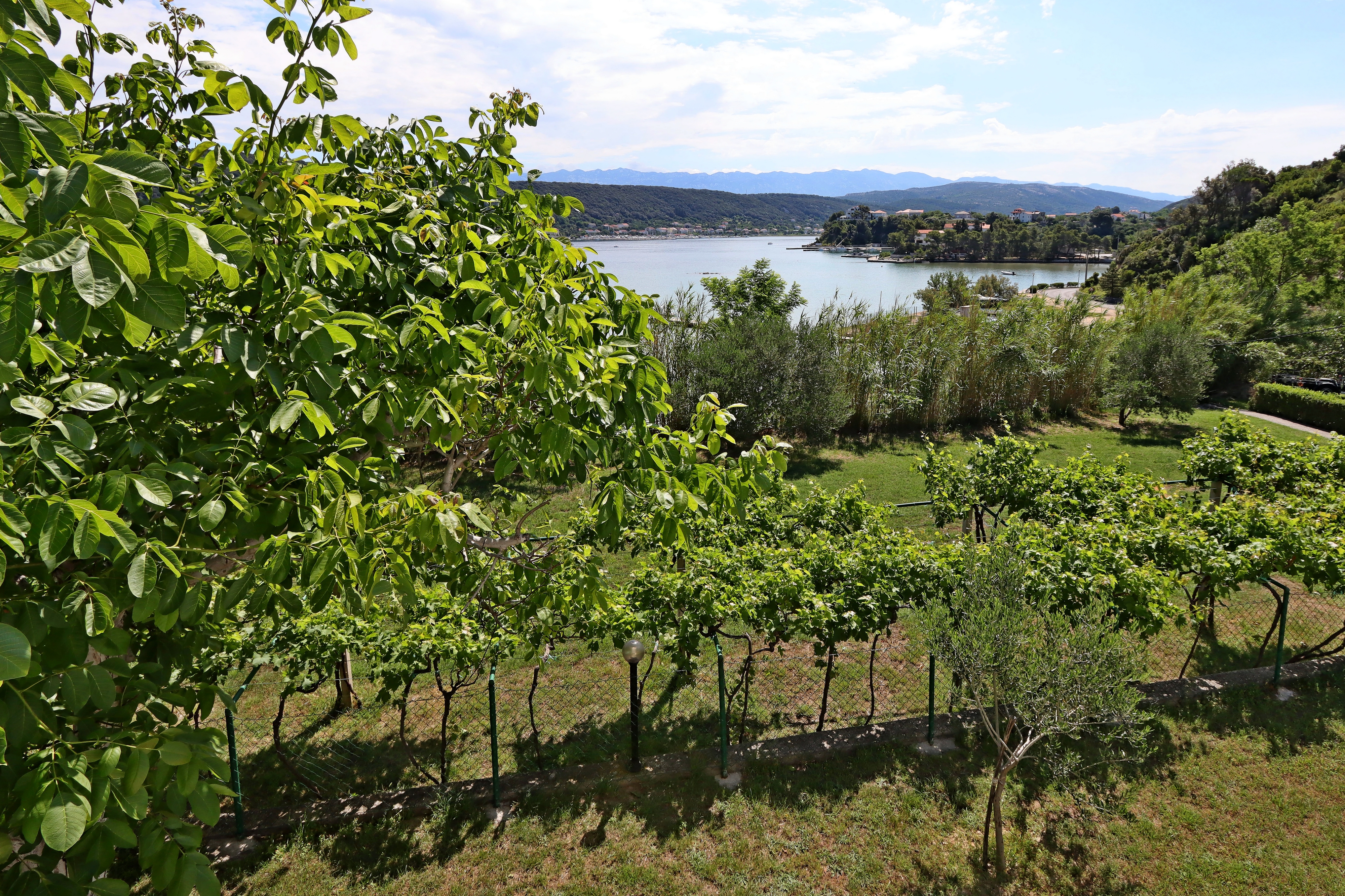 One bedroom apartment near beach Supetarska Draga - Gonar, Rab  A-b