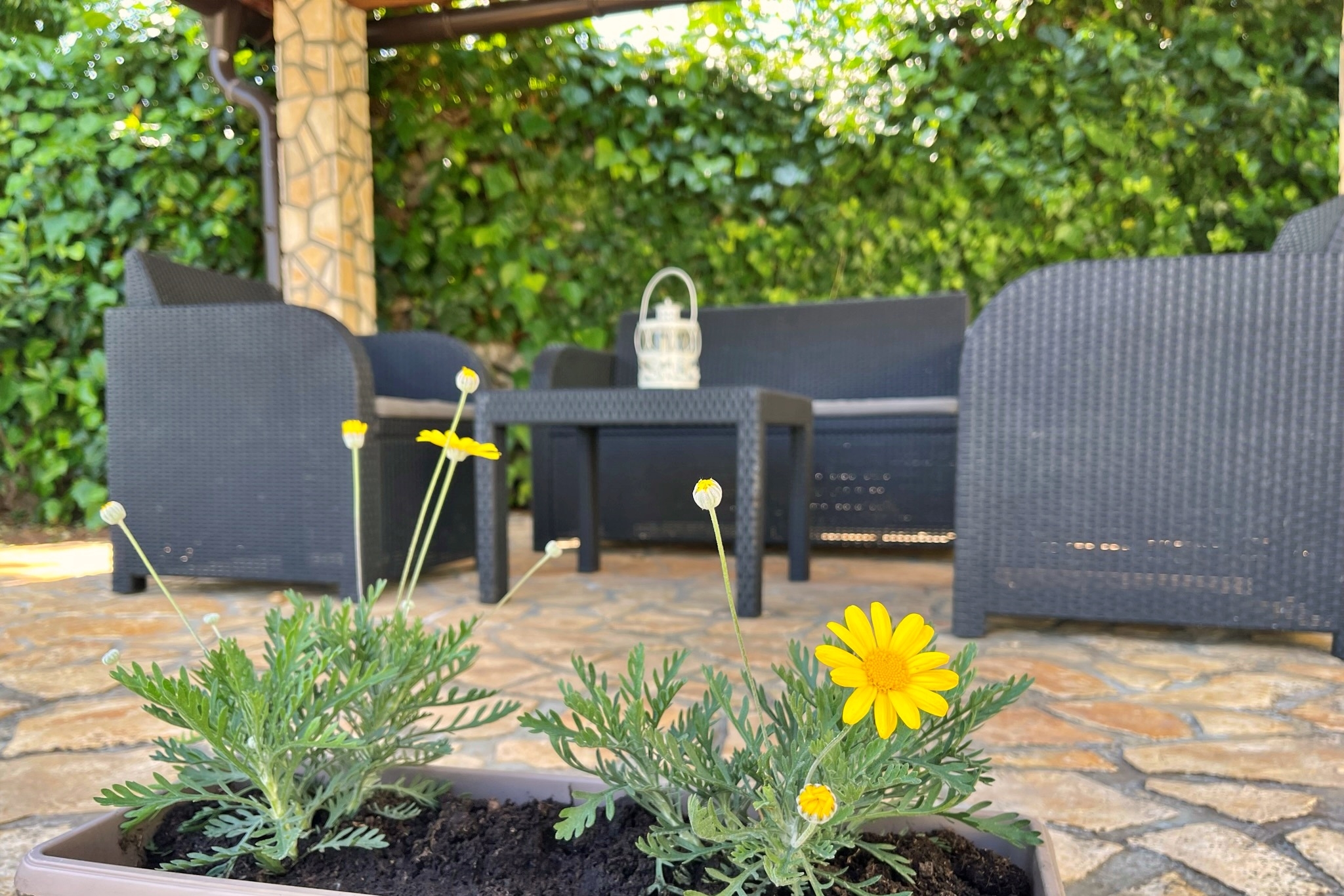 One bedroom apartment with terrace Polje, Krk (A-18669-a)