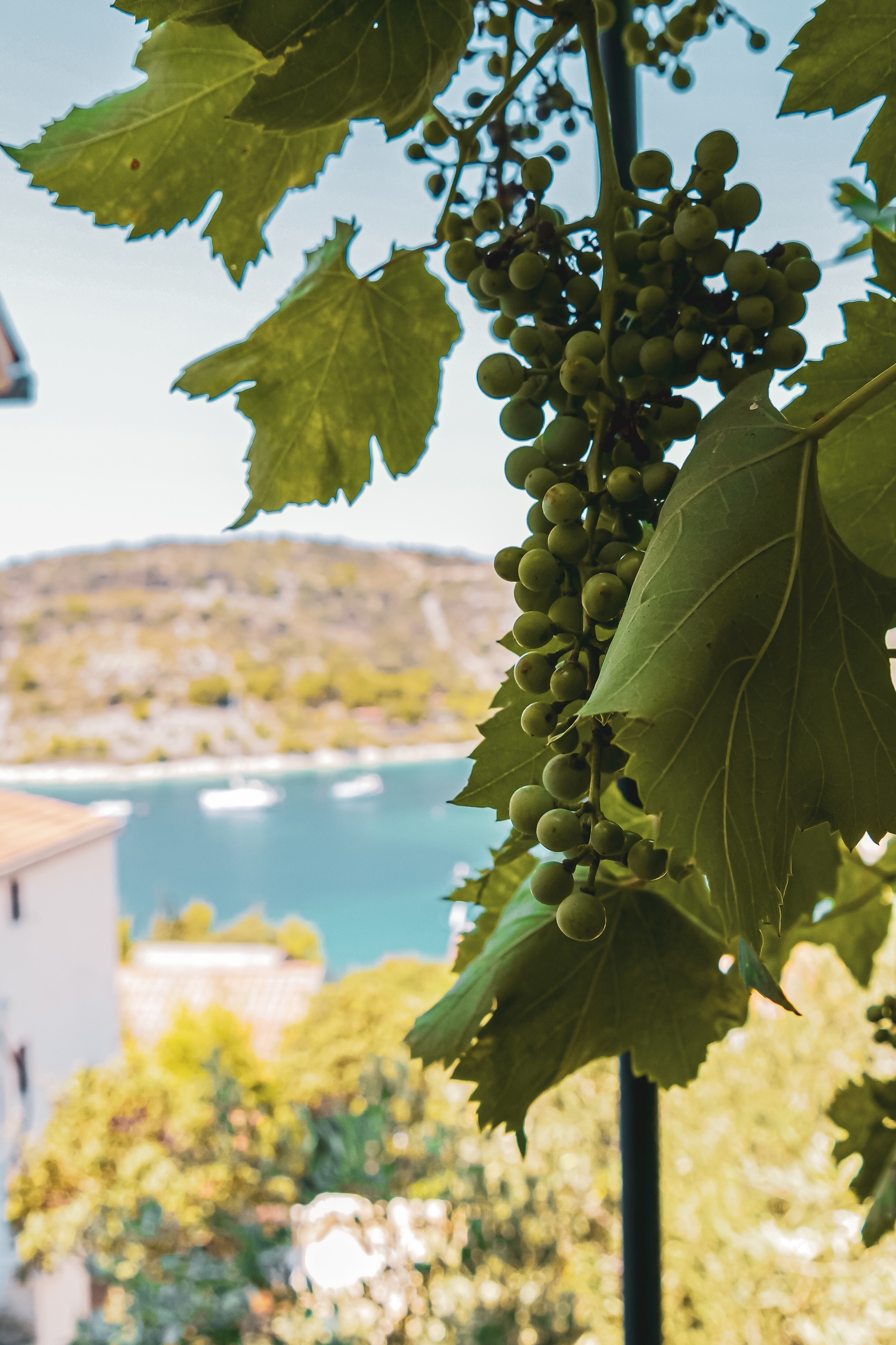One bedroom apartment with balcony and sea view Sevid, Trogir  A-a