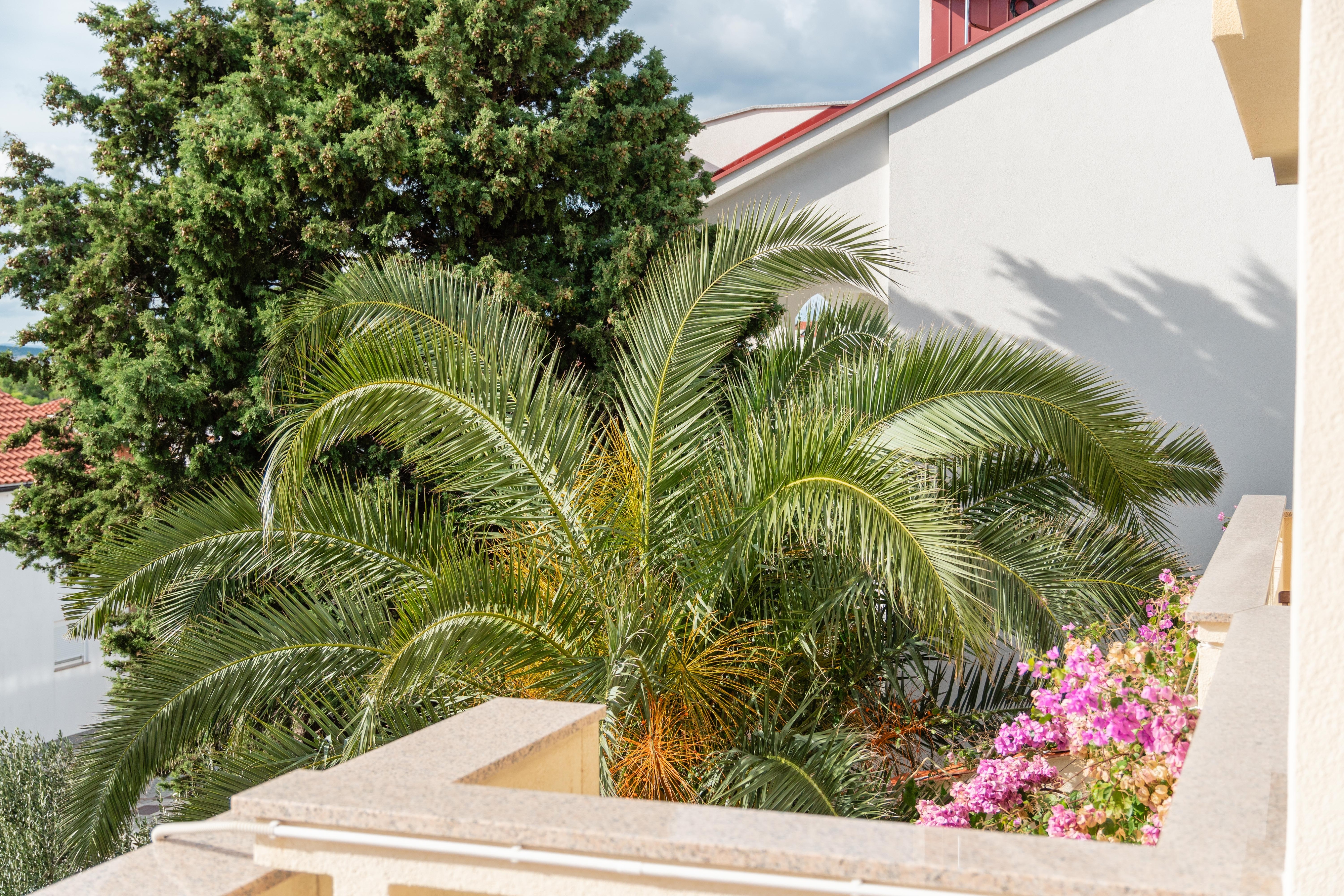 Two bedroom apartment with terrace and sea view Mandre, Pag  A-d