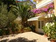 Mandre, Pag, Courtyard 18748 - Apartments with pebble beach.