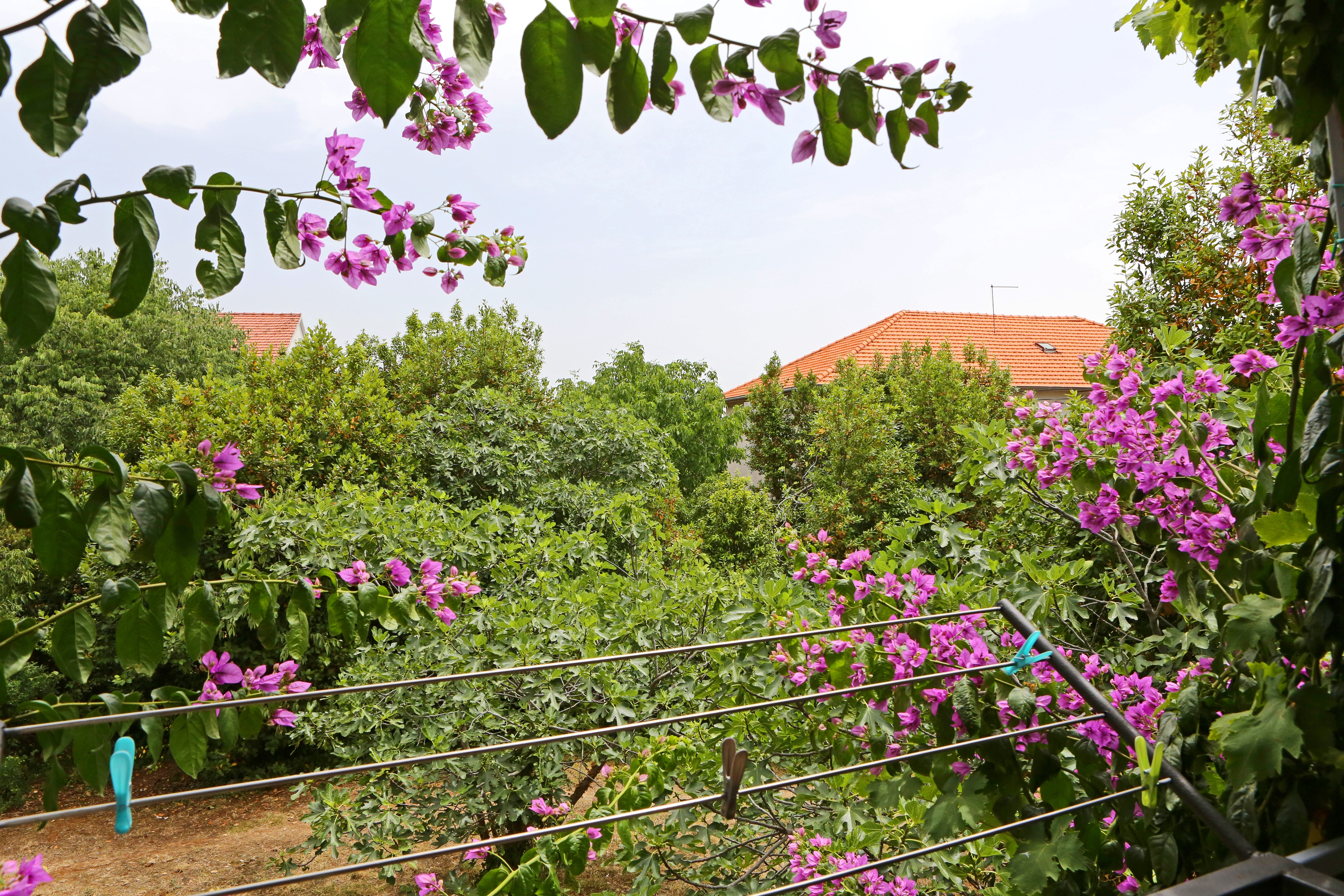 One bedroom apartment with balcony Bibinje, Zadar  A-a