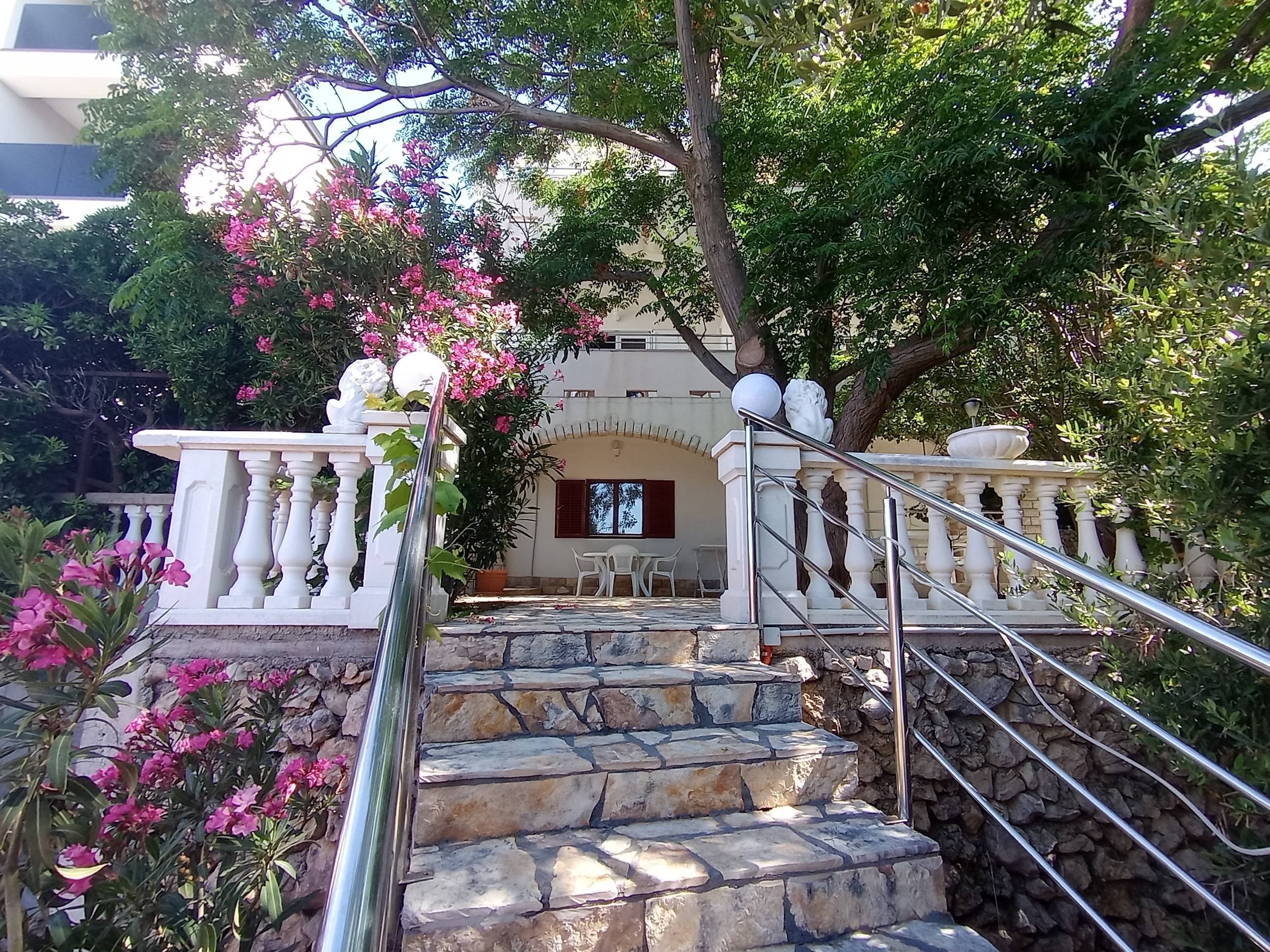 Top Pag Vidalići Top Pag Vidalići