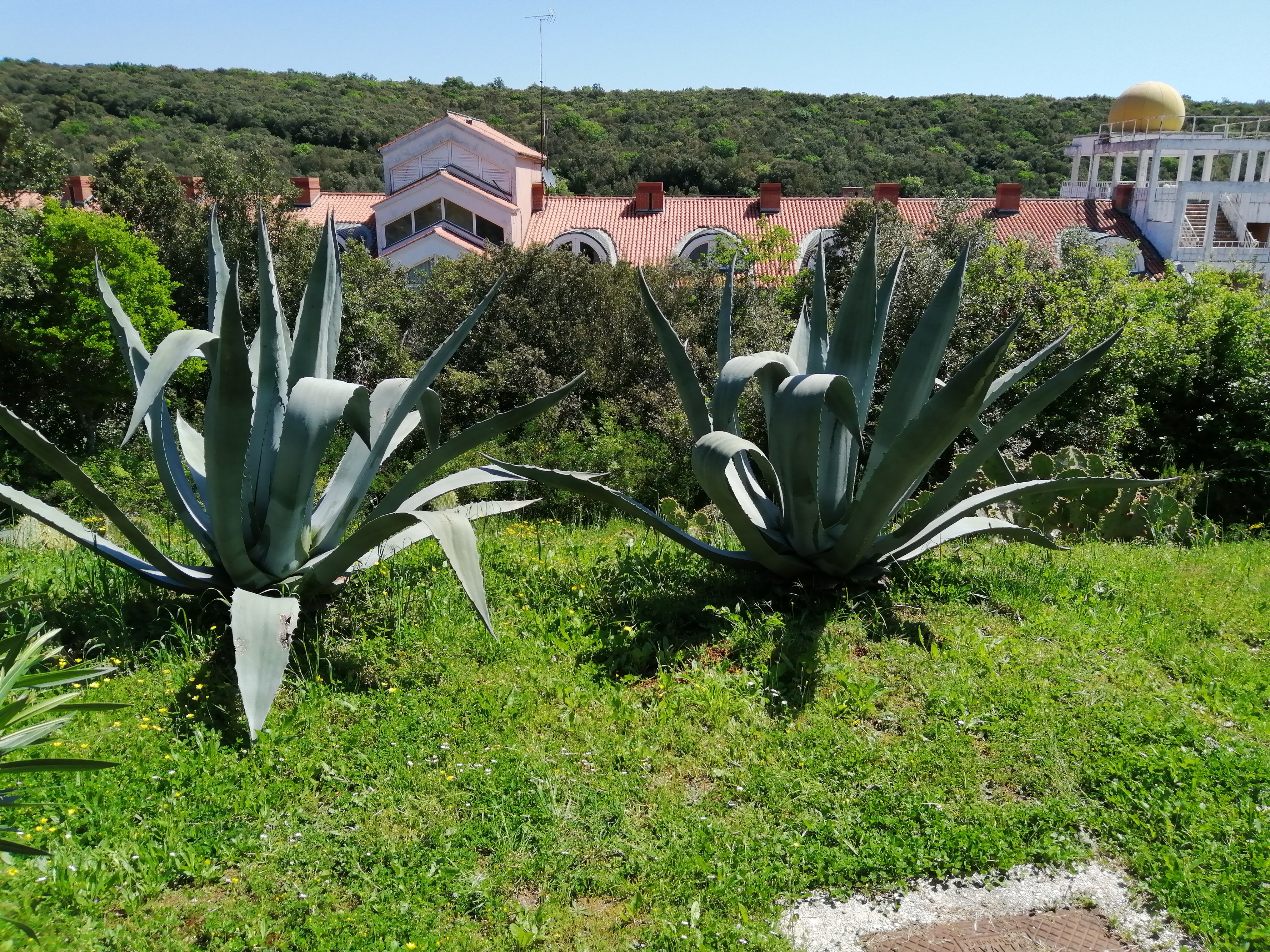 Top Marčana Duga Uvala Top Marčana Duga Uvala