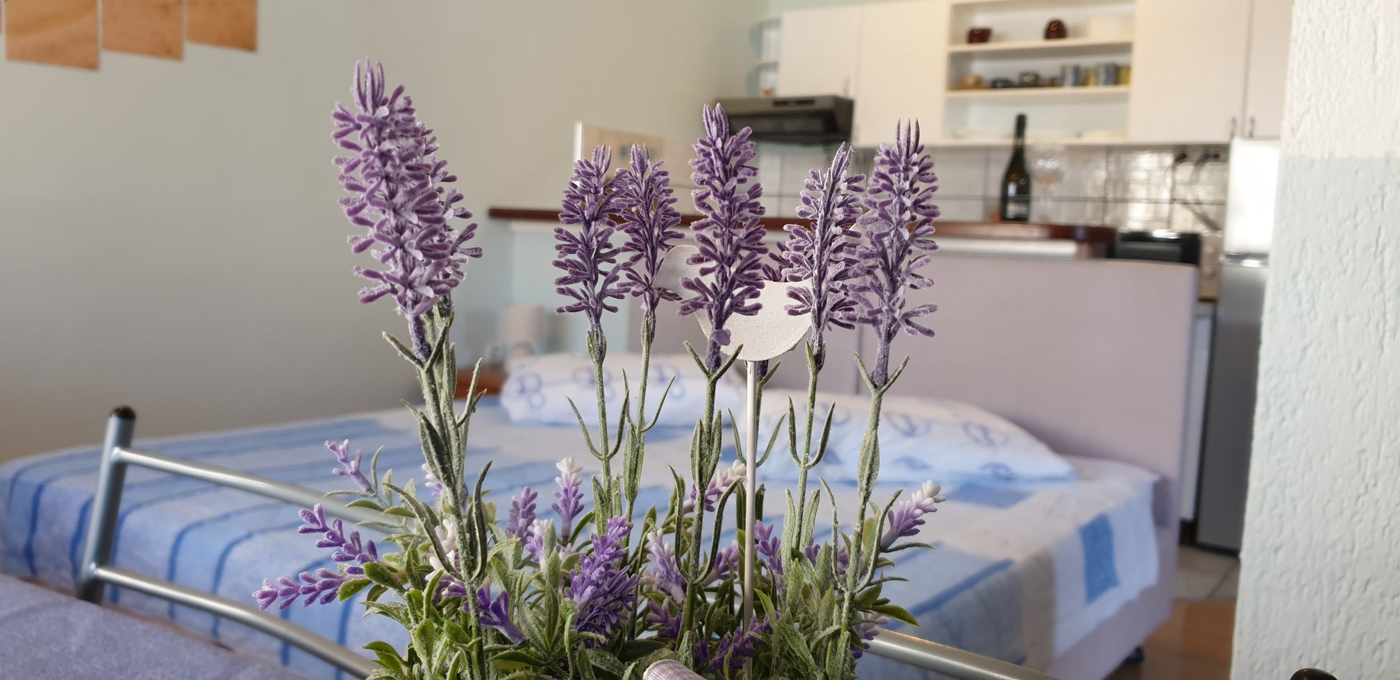 Top Novi Vinodolski Top Novi Vinodolski