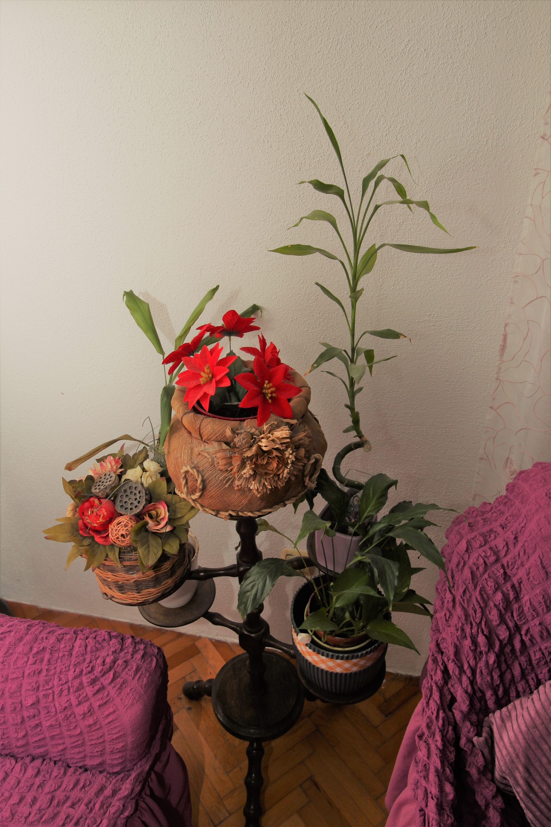 Top Brač Postira Top Brač Postira