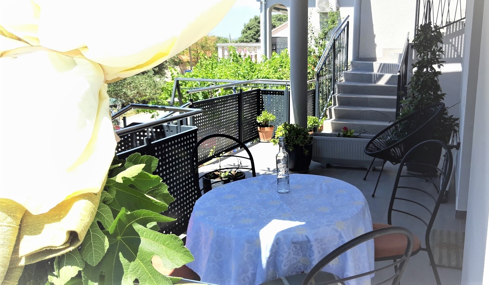 Top Biograd Pakoštane Top Biograd Pakoštane